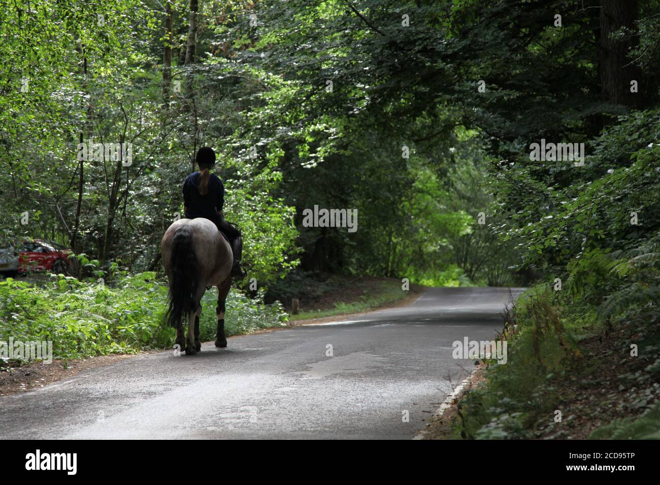 Ein einsames Mädchen, das auf einem Pferd von hinten auf einer Landstraße in Surrey Countryside, England, UK, 2020 mit Kopierbereich reitet Stockfoto