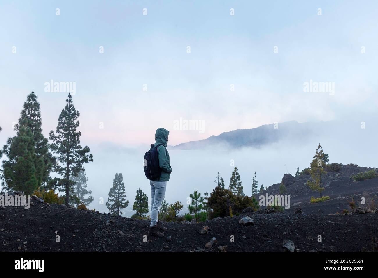 Spanien, Kanarische Inseln, La Palma, Wanderer auf einem Weg in üppigem Grün in einer bergigen und vulkanischen Umgebung Stockfoto