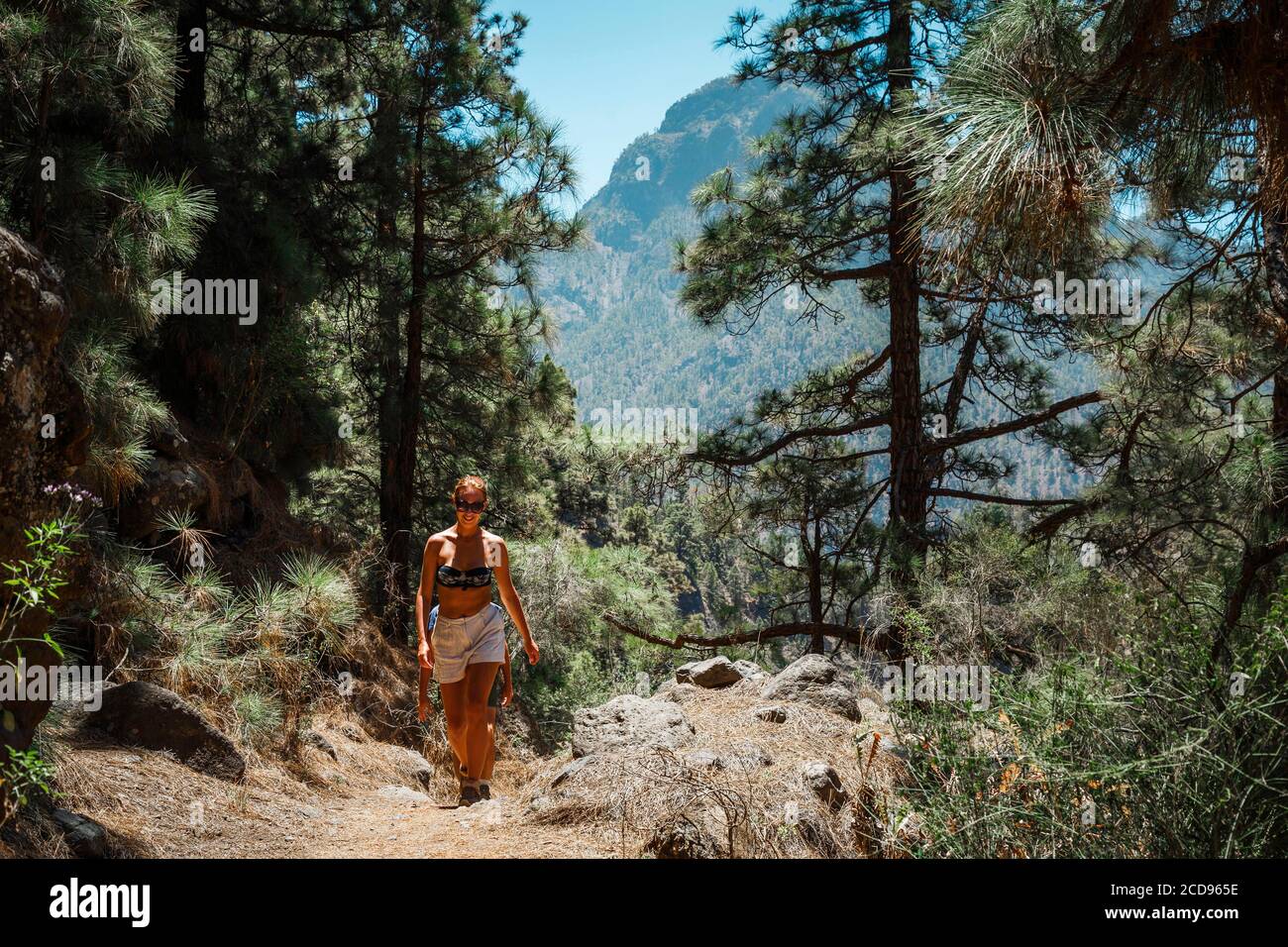 Spanien, Kanarische Inseln, La Palma, Wanderer auf einem Weg in einem atlantischen Pinienwald Stockfoto