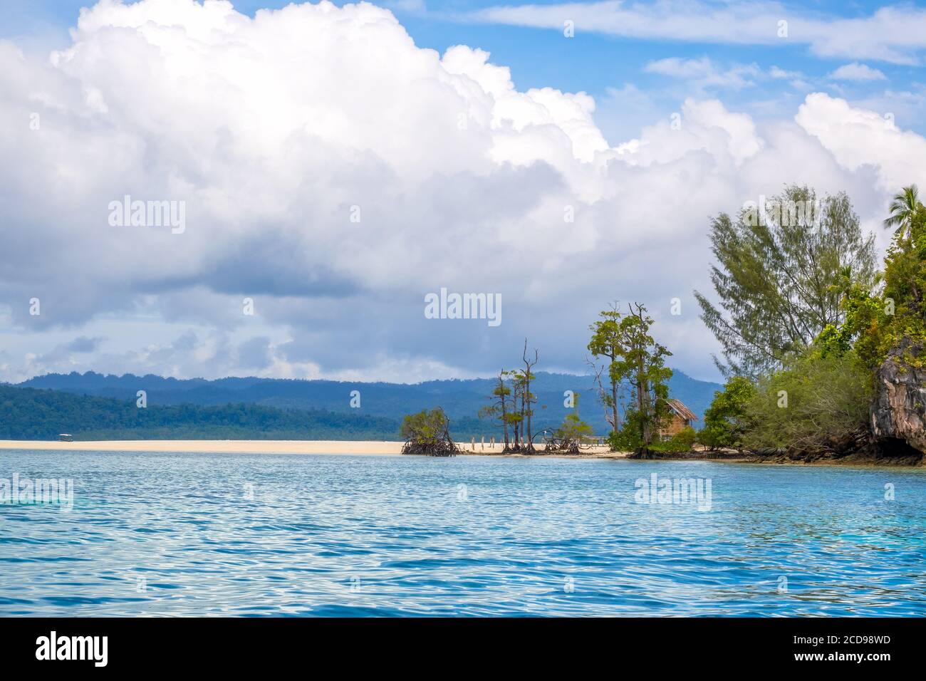 Indonesische Insel im Raja Ampat Archipel. Leere Sandbank an der Küste einer tropischen Insel. Hinter den Bäumen versteckt sich eine einsame Hütte Stockfoto