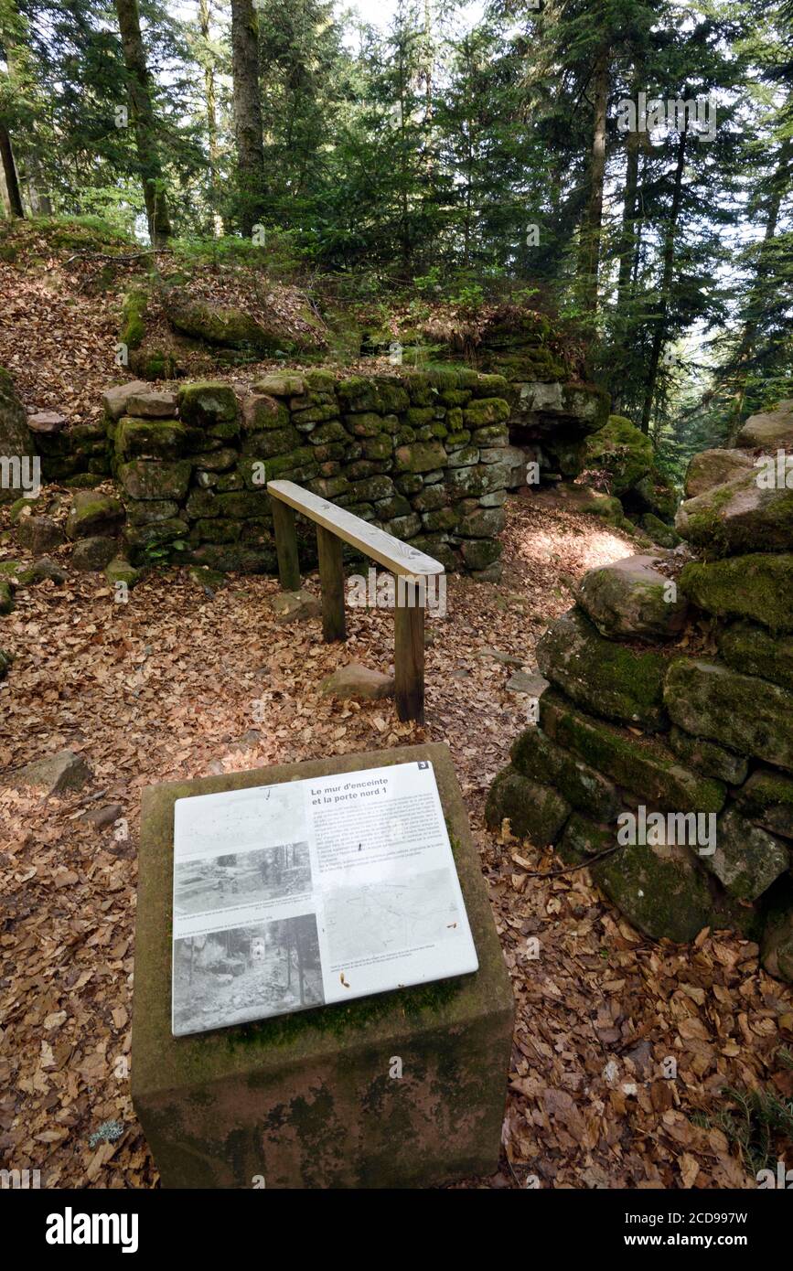 Frankreich, Vogesen, Saint die des Vosges, keltisches Lager der Bure, befestigte gallische und galloromanische Stätte, die Mauer und das Nordtor Stockfoto