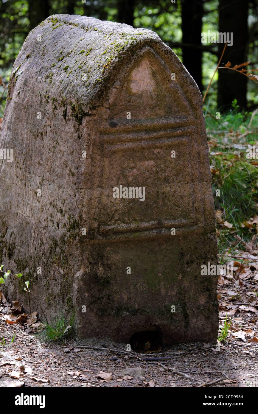 Frankreich, Vogesen, Saint die des Vosges, keltisches Lager der Bure, befestigte gallische und galloromanische Stätte, hausförmige Beerdigungsstele Stockfoto