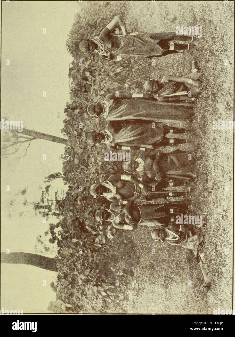 . Ein Elfenbeinhändler in Nordkenia; der Rekord einer Expedition durch Kikuyu nach Galla-Land im östlichen Äquatorialafrika. Mit einem Bericht über die Rendili und Burkeneji Stämme . nd noch, dass ich in der Betrachtung seiner Schönheiten absorbiert wurde, während wir entlang gingen.augenblicklich trat ich etwas, während ich ging, und, sorgsam nach unten schauend, begann und zitterte, als ein verstümmelte humanhead aus meinem Weg rollte. Ein Blick um mich und ein unverfälschter Geruch zeigten mir einen kleinen Haufen Leichen, par-tially von den Geiern und Hysenas verschlungen, die in der Ecke der kleinen Plantage lagen, die wir überquerten, Reliquien Stockfoto