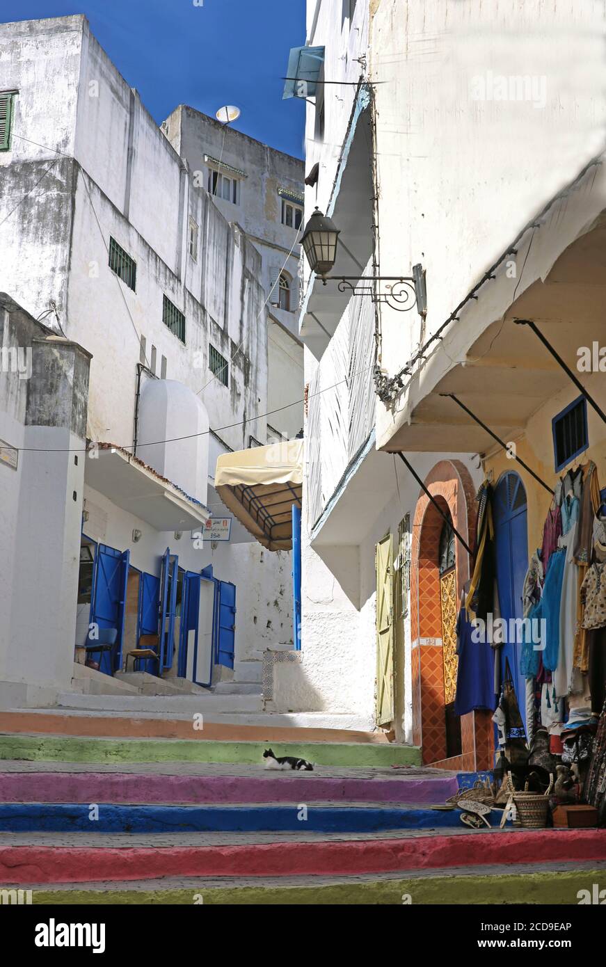 Marokko, Tangier Tetouan Region, Tangier, Katze auf Treppe mit bunten Stufen in einer Gasse der Medina Stockfoto