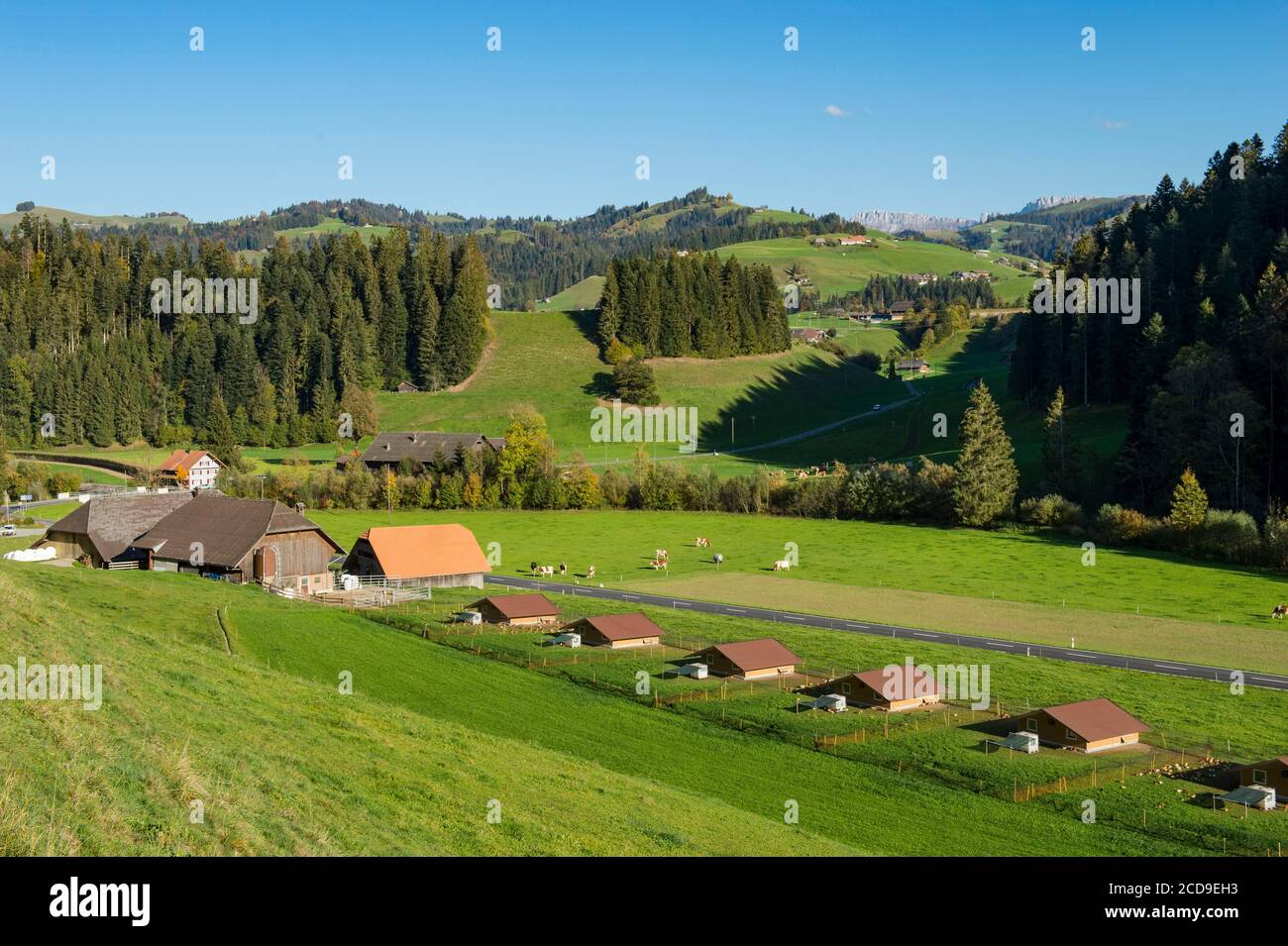 Schweiz, Kanton Bern, Emmental, Emmental, Bio-Hühnerfarm bei Eggiwil Stockfoto