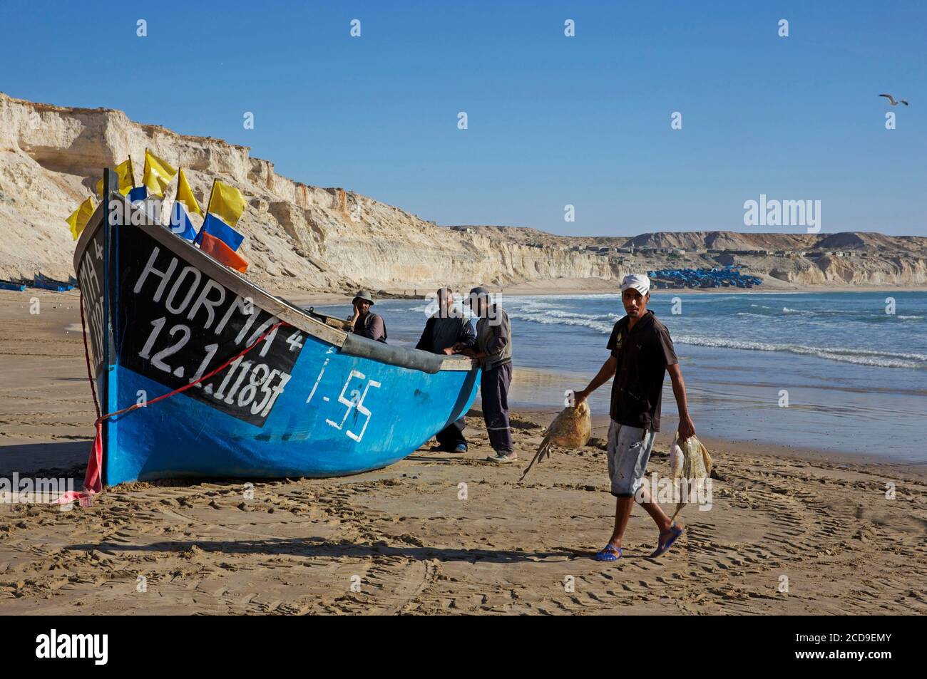 Marokko, Westsahara, Dakhla, Fischer, die Fische in der Nähe ihres blauen Bootes auf dem Strand von Araiche entladen, der von einer Klippe begrenzt wird Stockfoto