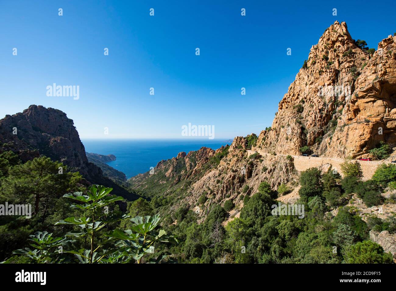 Frankreich, Corse du Sud, Porto, Golf von Porto die pittoreske Route der Calanches von Piana, die aus plutonischem Felsen gebildet wurde, wurde von der UNESCO zum Weltkulturerbe erklärt Stockfoto