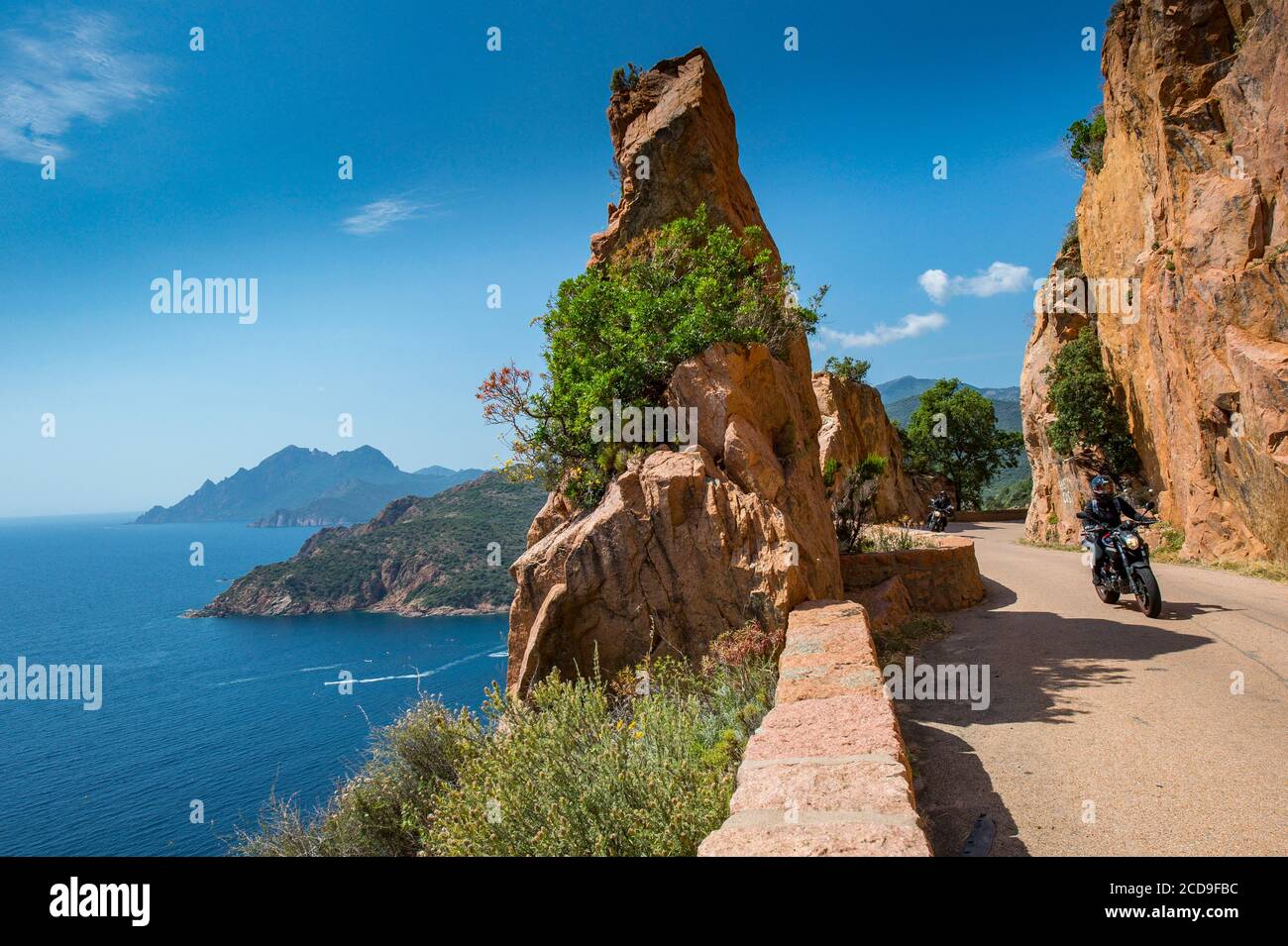 Frankreich, Corse du Sud, Porto, Golf von Porto die D81 Straße im Balkon führt durch die Buchten von Figa Baleri nördlich von Porto, die Aussicht ist atemberaubend 146 m über dem Meer Stockfoto