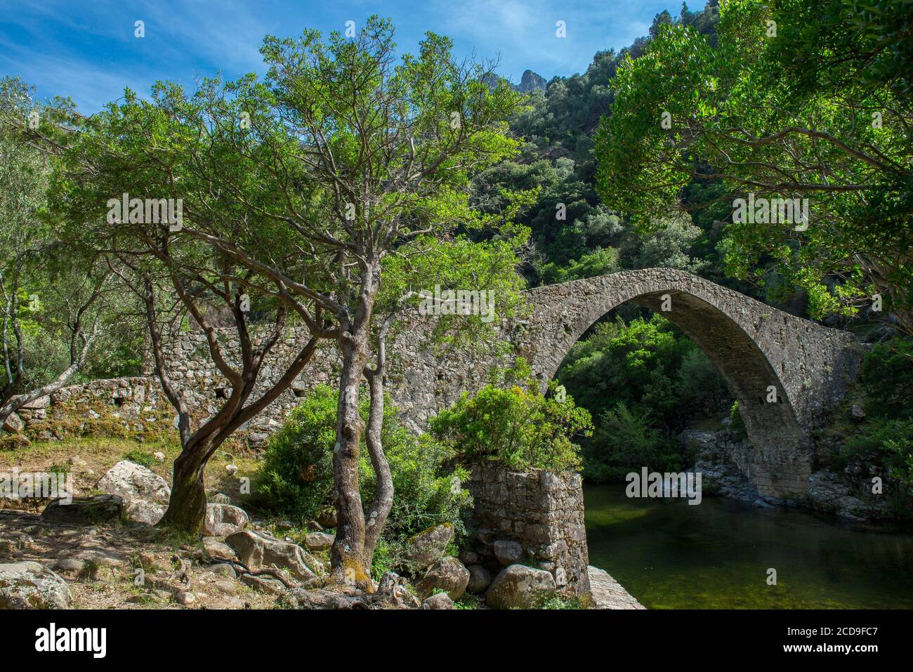 Frankreich, Corse du Sud, D 84, Ota, regionaler Naturpark, die genuesische Brücke von Pianella auf dem Torrent von Porto Stockfoto