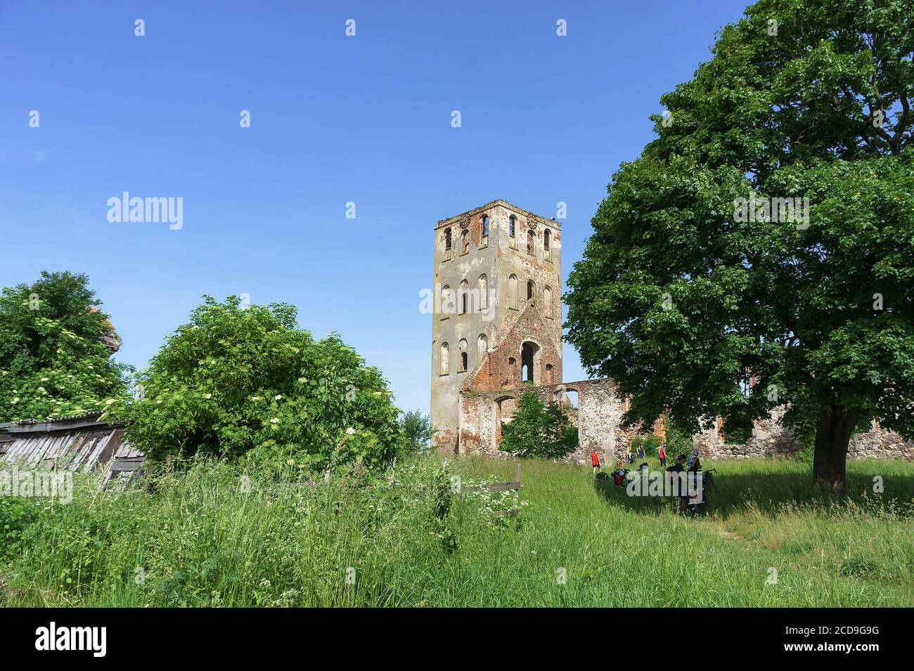 Steinkirche in Joneykischken, Ruinen der Preußischen Kirche, Russland, Kaliningrad, Slavski Bezirk, Dorf Timirjasewo, 12. Juni 2020 Stockfoto