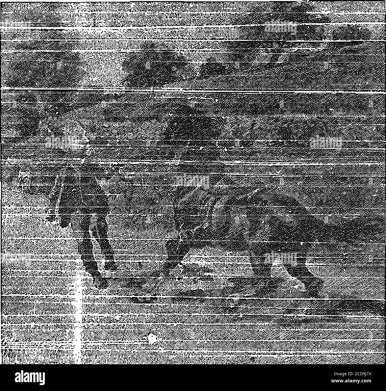 . Der Krieg Cry . artmoufih 40 Oont. Millar, Chatham 4il Lieut. Hamilton, Palrvlle ... i.. Vi Oairt. Richards, Not*fh Head 22 Capt. Graves, Freeport 22 Mra. Schön, Barrsboro 22 H. JoCsrson. Anaapoto 21 Mn3. Semple, Frederlcton 20 J. Chase, Frederlcton 20 B. Semple, Frederlcton 20 Sergt. Bean, Soutlhaanpton 20 Schwester Brown, Brldgewater 30 M. Sykeman, WodStook 20 Sergt. Taylor, Oalala 20 Slater Blackburn, WeatvHle 20 Mai Poster, Westvlle 20 E. Hunt, Bear River IO J. Bridges, Saokville 20 Lieut. Vandlne, Sydney BUnea ... 20 Lieut. Nugent, Freeport 20 West Ontario Province.5. Hustlor-. Apt. Ho Stockfoto