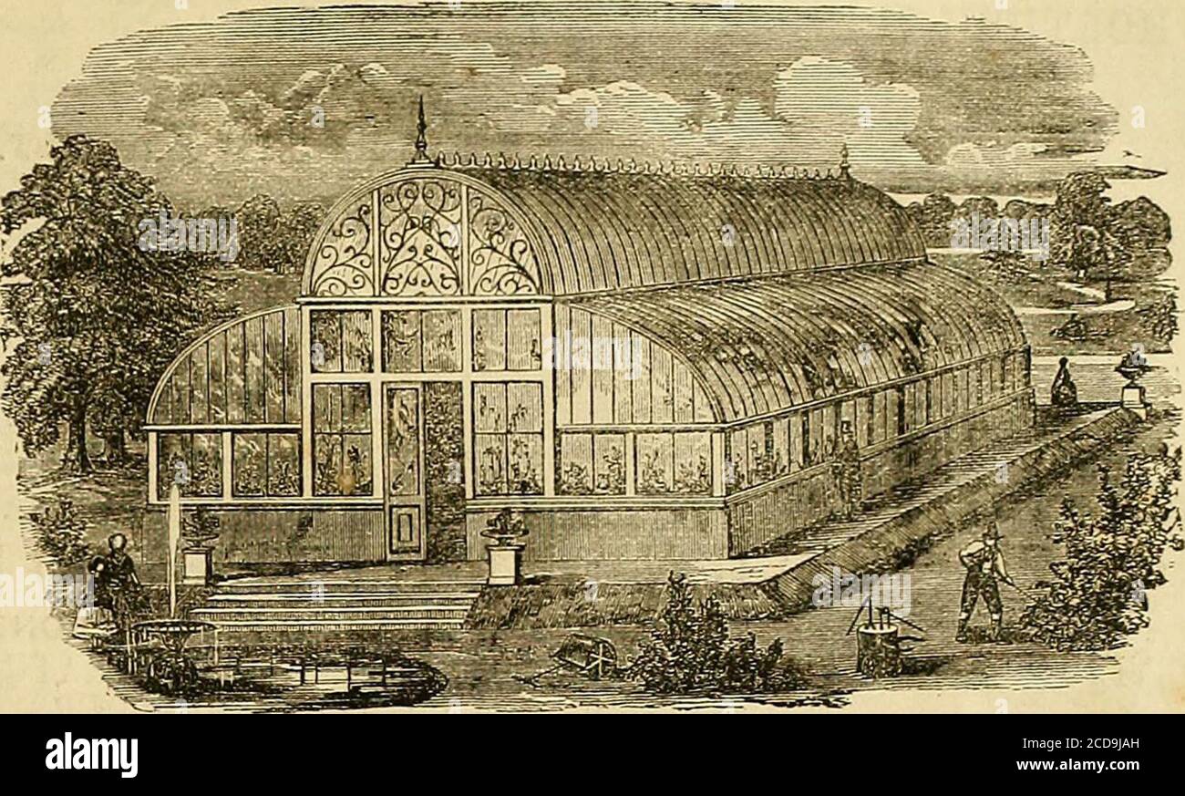 . Die Gärtnerchronik und die Agrarzeitung . 1852 Anstieg 4 1 1 Januar bis Dezember n 1S53 Anstieg 28 3 Mai bis November 6 1854 Rückgang 24 3 Februar bis Septembr AV erage IST G Durchschnitt 5A Münder. Jahr. 1S1318141S151S161817ISIS18191S20 1S2118221S231S2418251S261S271S2S1S291S30 1S31 13321S331S341S351S361S371S3S1S391&lt;40 1S41153S1814S18481S4611Quartal. Weizen. 109er. 9TI 74 405 7 75 696 11S6 374 667 10 56 144 7 53 403 11 65 658 S58 660 5 66 364 3 G6 45S 852 1146 2 39 448 655 1064 770 S 66 4 64 4 67 3 50 1 51 350 10 54 S69 950 6 Stockfoto