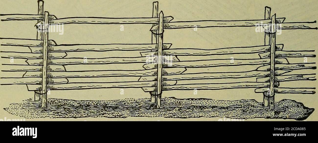 . Handbuch für Ranger & Holzfäller . Figur. Sein Hauptnachteiles liegt in der Tatsache, dass die Pfahlschienen entlang jeder Seite des Zauns einen beträchtlichen Boden einnehmen. Die Methode ist jedoch die am häufigsten verwendete Methode. Die zweite Methode, bei der die Kreuze der Pfahlschienen im rechten Winkel zur Zaunlinie stehen, wird ebenfalls weit verbreitet. Eine Variante dieser Methode erfordert, dass der Fuß eines der beiden Pfopfenpfade an der nächsten Schleuse dicht gegen die Gioundschiene anhält. Eine dritte Methode des Absteckens wird auch in dieser Abbildung gezeigt und sorgt für das Abstecken jedes Paneels an oder nahe seiner Mitte.Schwere Pole, manchmal l Stockfoto