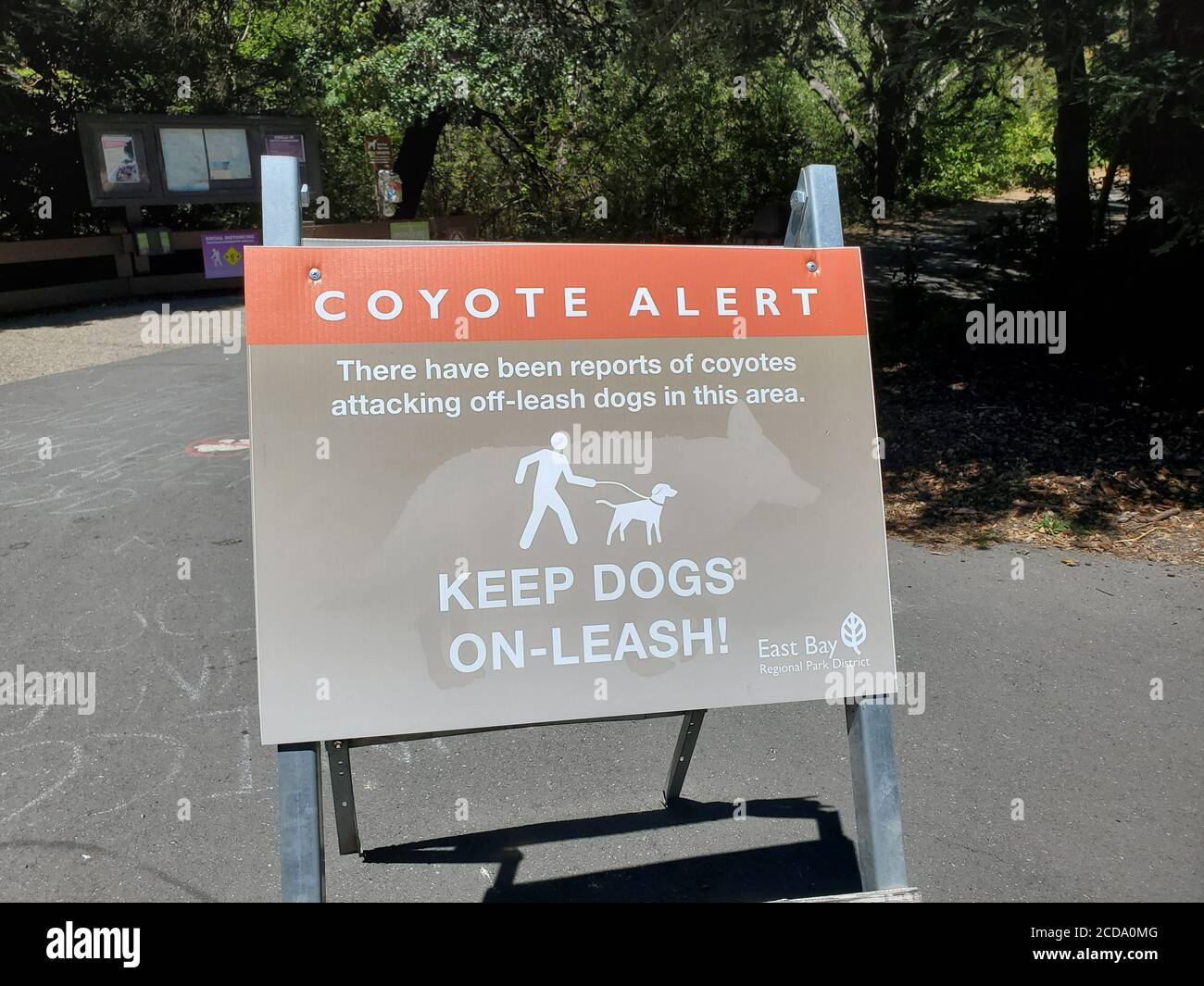 Schild mit der Aufschrift Coyote-Warnung nach einem Coyote-Angriff in einem East Bay Regional Park, Moraga, Kalifornien, 12. Juli 2020. () Stockfoto