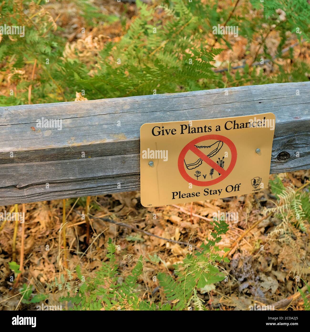 „Gib Pflanzen eine Chance! Bitte bleiben Sie weg' Schild mit Fuß-und Pflanzensymbol vom National Parks Service zur Verfügung gestellt; Yosemite National Park, Kalifornien. Stockfoto