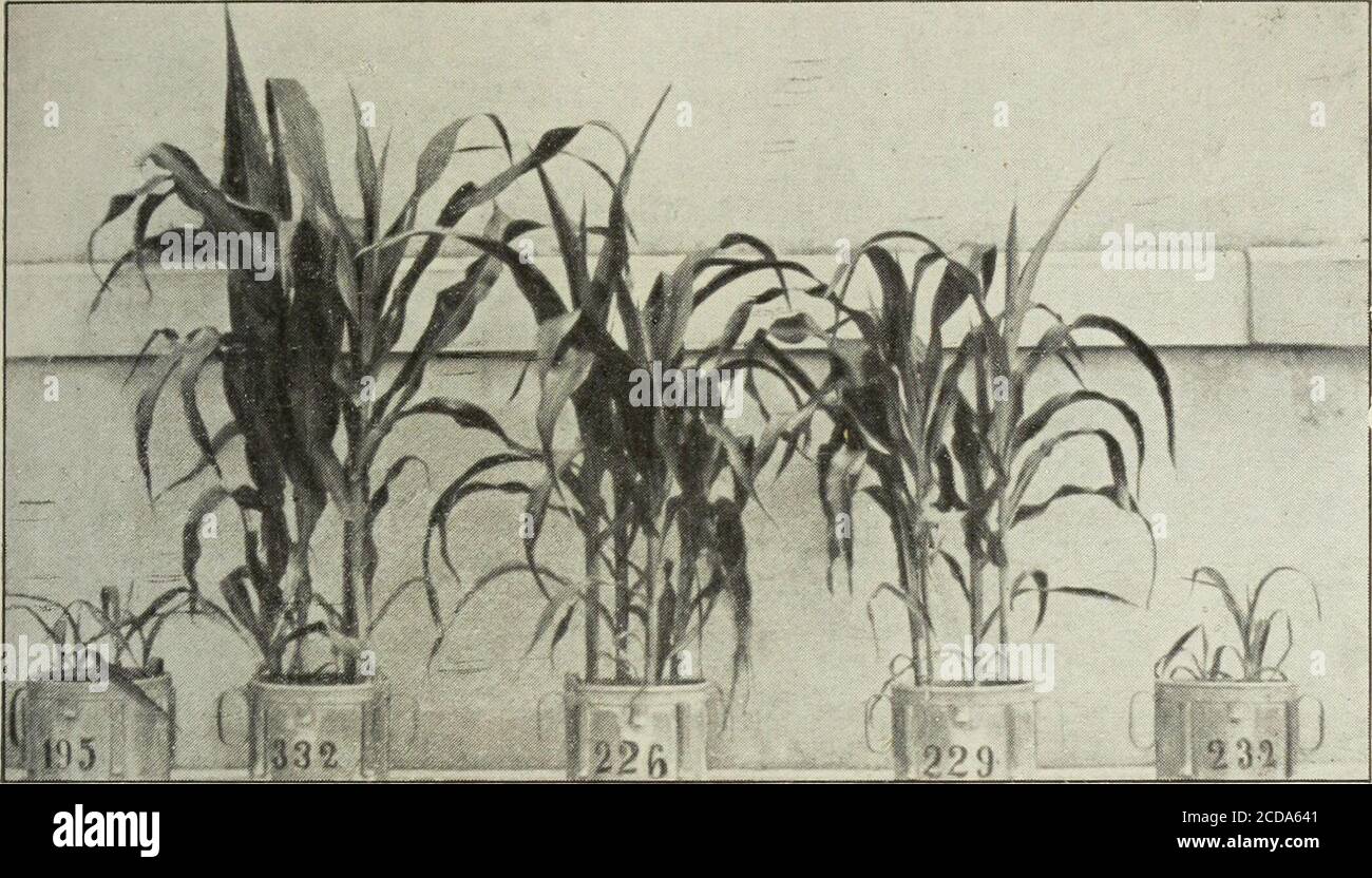 . Die landwirtschaftlichen versuchs-stationen .. . n und zuverlässigen Verfahren usw. 275 CS p CS QC s 3 3a NJ fn CD CD ^ J ®&gt; O T3 « -2 2 ^ FH RP e&gt; ig TS o «ISB üo f-l CDCoc3 o 0=H JP üces bOfnCDrQCD op s CD tu p S p .2 O a3 fn CD -p CD hflP S CD s CD cq t3p pp CD w CDC CMCO Lo CO  Lo io• – l CO CO o 1 – 1 CO cd CO CO CM CM CO i – i 00^ cm © CO CM o CO t – i Lo cq  o cd loco CO r-J  COCO th^ CM CO CS CO cd CO CM CO cm CD co CD co 1 – 1 CO Lo CO^ CO cd o cm CO cm o cm i-T CO Lo CO CM i-^ CO cq CO bei CI CO 1 – 1 cm i – i Lo CO «* Lo m CO CD PP P cs;P . f-l es eutedeu tark bedchwänoch iß FNC Stockfoto