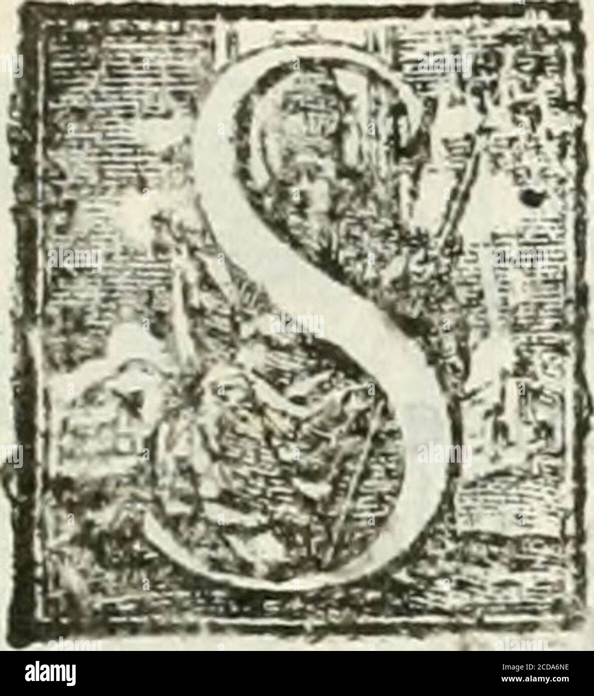 . Le pompe funebri celebrate da' Signori Accademici Infecondi di Roma per la morte dell'illustrissima Signora Elena Lucrezia Cornara Piscopia accademica, detta l'Inalterabile . Oue volo di Fama appena arriua,DBLENA i Falli cran difìafìe noti:Gli cncomj illuilri de le Regie dotiDe Tvno e laltro Sol lalbergo vdiua» per venerarla, al torbido Adria in riua(Pellegrini giungean Biarmi, e Goti,E da i Confìn de lOrcidente di Gadignoua Qaa. B en sì eccelfa Virtù, fregi Fi rariPocean Tinuidia meritar del Polo/E accelerar dEuropa i pianti amari ? MA di lei poco andò iuperbo il fuolo Stockfoto