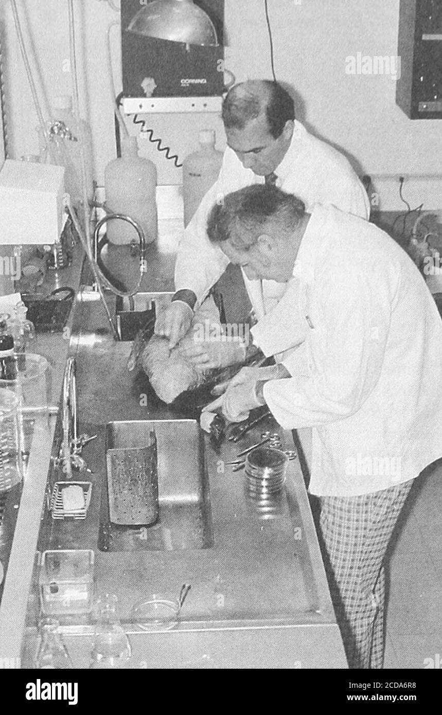 Bild aus dem Buch 'The Canadian Field-Naturalist', mit dem Pathologen Eric Broughton und Techniker Pete Cuillard bei der Autopsie einer Kanadagans, veröffentlicht im Ottawa Field-Naturalists' Club, 1919. Courtesy Internet Archive. () Stockfoto