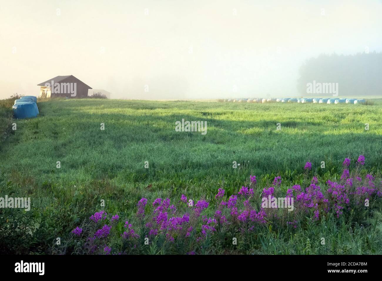 Landwirtschaft Stockfoto