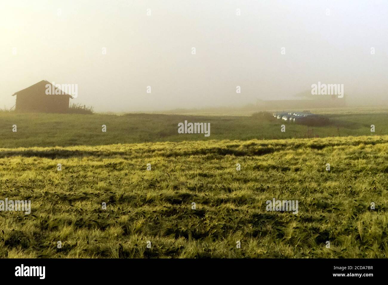 Landwirtschaft Stockfoto