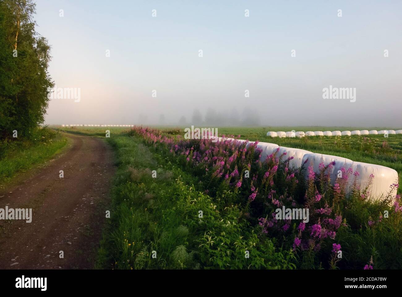 Landwirtschaft Stockfoto