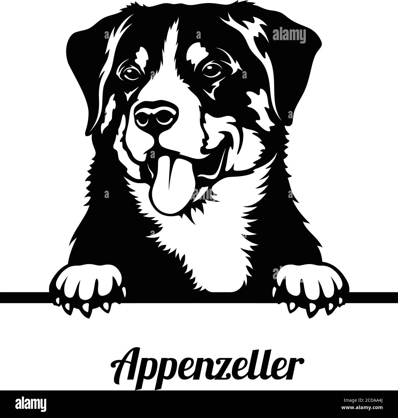 Peeping Dog ist ein Appenzeller Mountain Dog Rasse. Stock Vektor