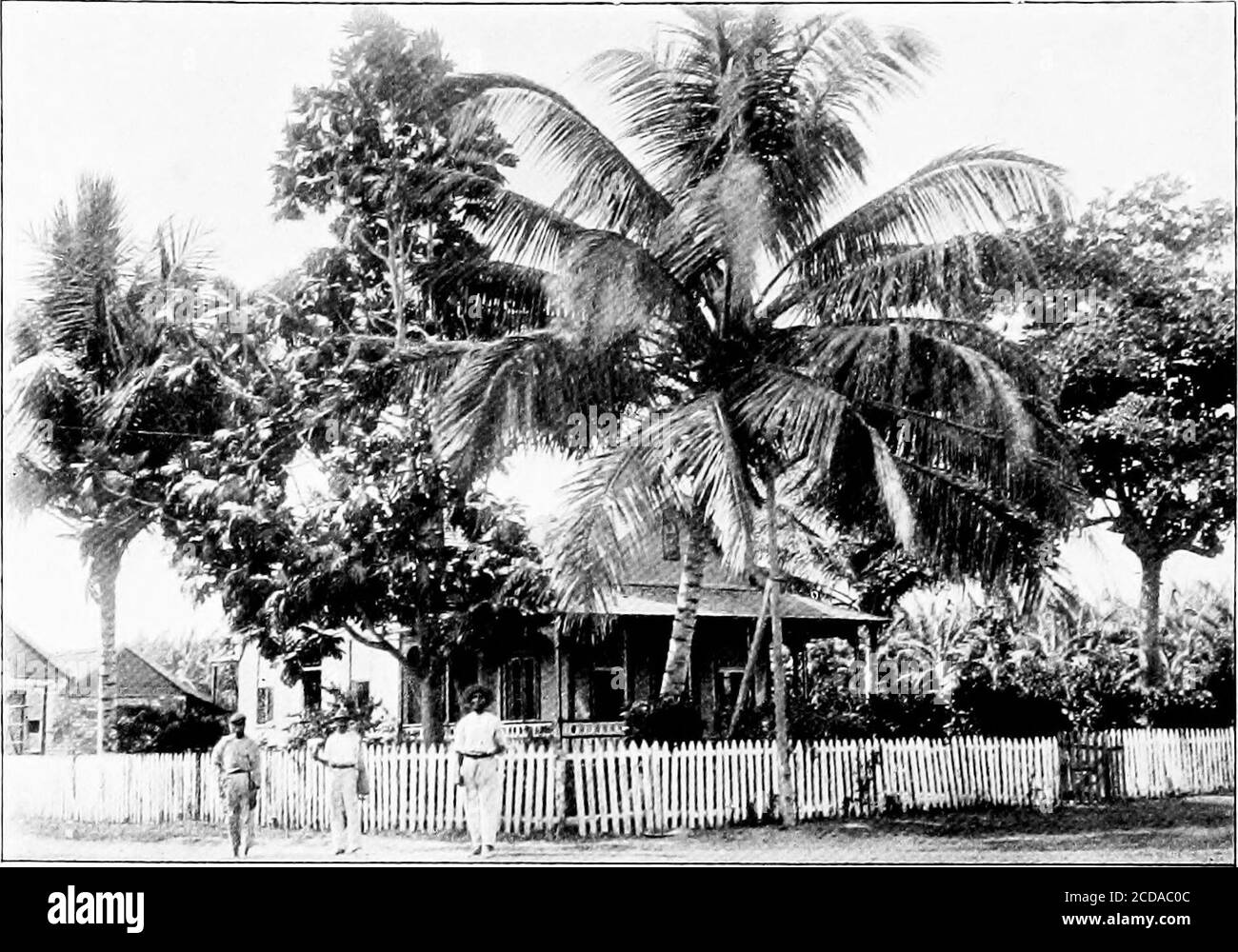 . Leben und Abenteuer in den Westindien; eine Fortsetzung von Adventures auf der Suche nach einem Leben in Spanisch-Amerika . Ippigation Canal, 2 Meilen von Spanish Town und 14 Meilen von Kingston entfernt. Haus auf Belmore Estate, mit Banana Plantation hinter. Stockfoto