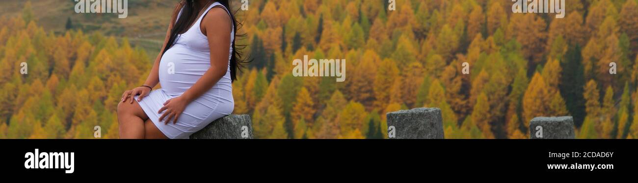 Banner der schwangeren jungen Frau mit schönen Herbstfarben in Der Hintergrund Stockfoto