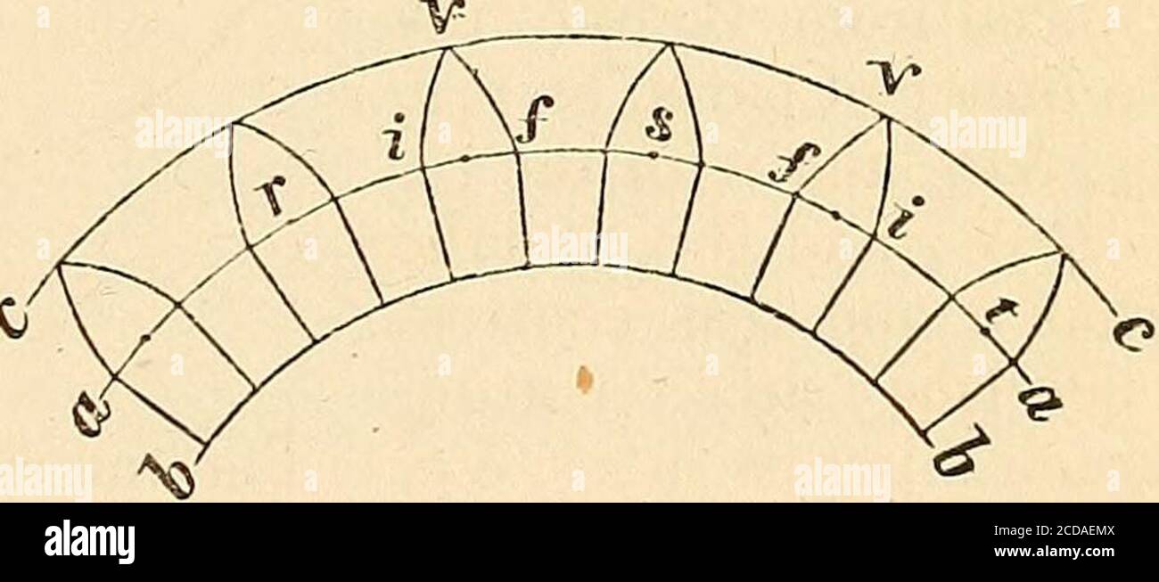 Winslow's umfassende Mathematik: Als ein umfangreiches Kabinett der  numerischen, arithmetischen und mathematischen Fakten, Tabellen, Daten,  Formeln und praktische Regeln ... . Um ein Zahnrad oder Zahnrad zu  konstruieren. Teilen Sie den