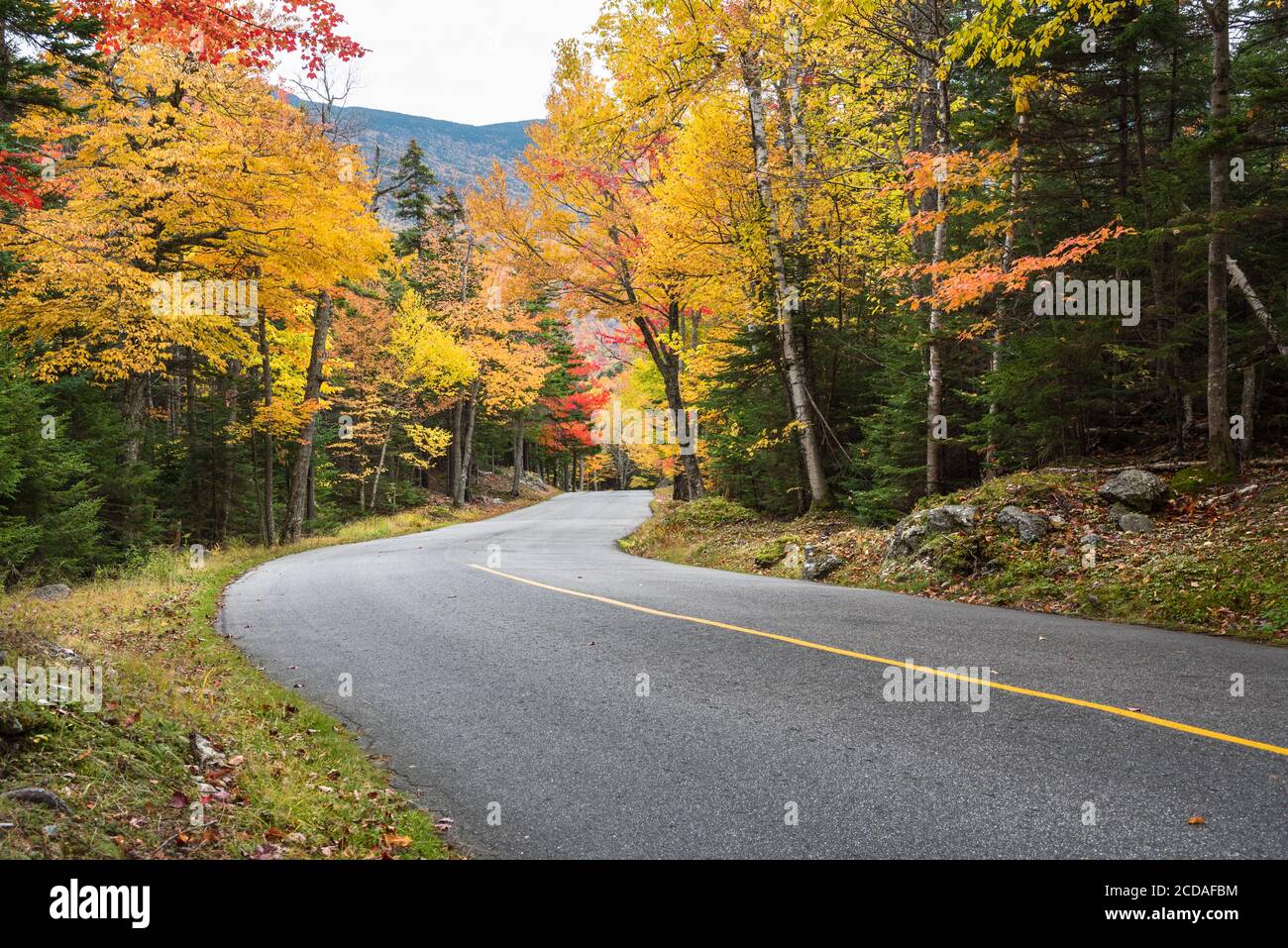 Steile, gewundene Bergstraße durch einen dichten Wald an einem bewölkten Herbsttag. Atemberaubende Herbstfarben. Stockfoto