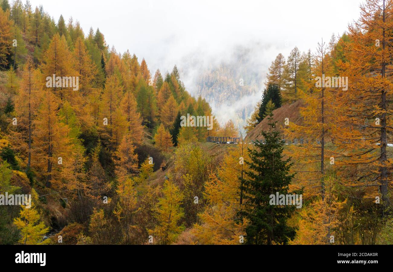 Herbst in den Alpen Stockfoto