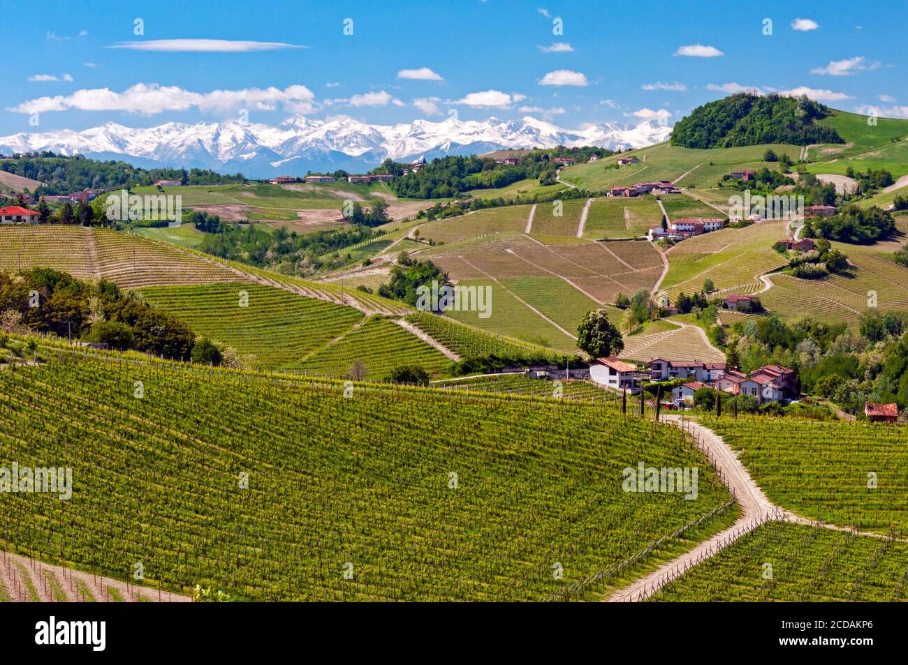 Blick auf Weinberge und Berge von Serralunga, Piemont, Italien Stockfoto