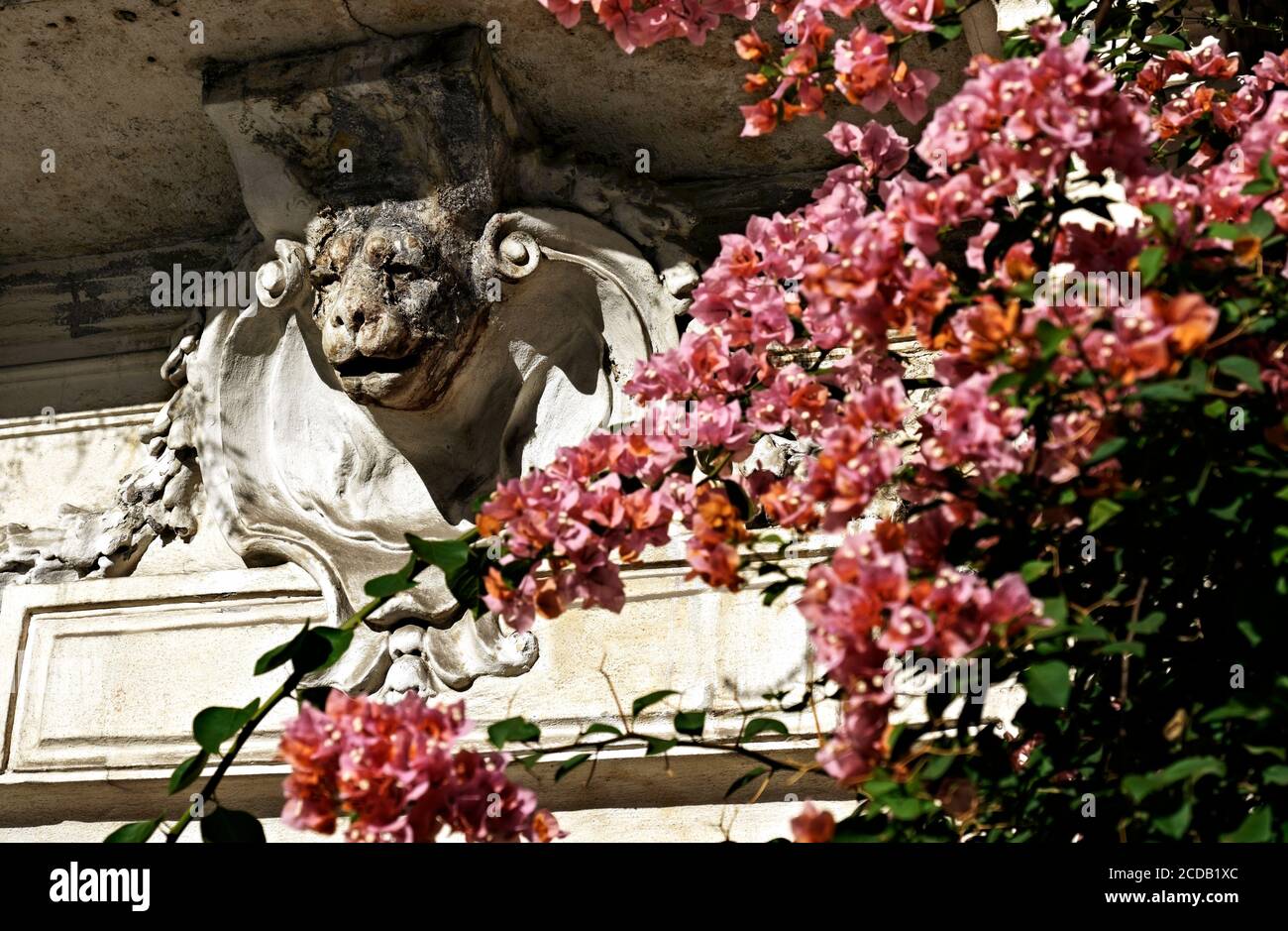 Blühende Fuchsia bougainvillea über dem Eingang mit Flachrelief eines Gebäudes Monti Nachbarschaft, Rom, Italien, Europa. Nahaufnahme, Detail. Stockfoto
