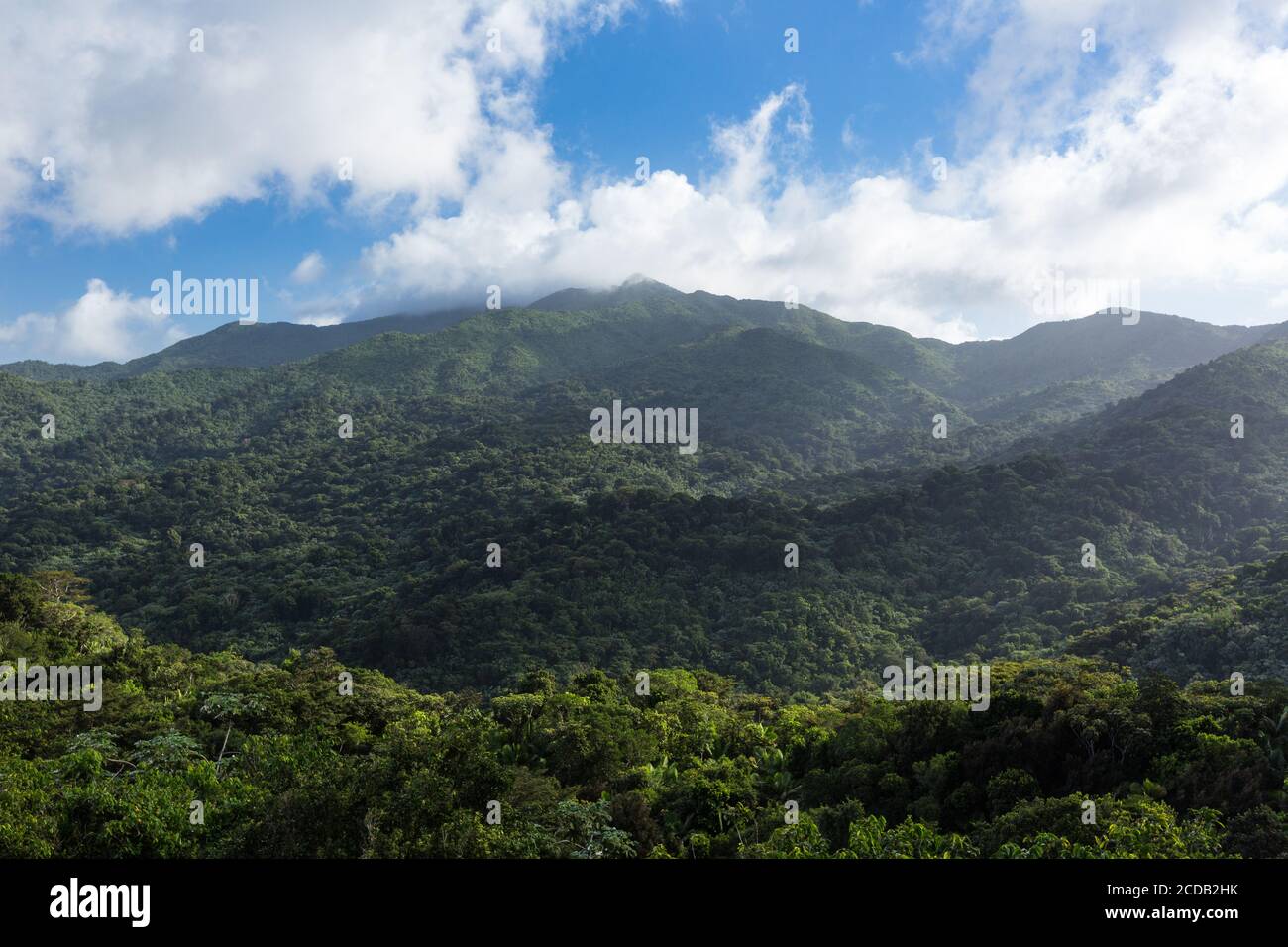 Blick vom Yokahu Tower im El Yunque National Forest in Puerto Rico. Stockfoto
