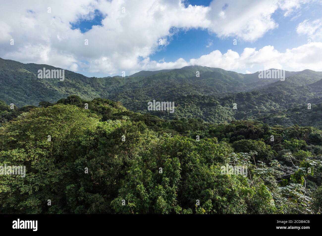 Blick vom Yokahu Tower im El Yunque National Forest in Puerto Rico. Stockfoto