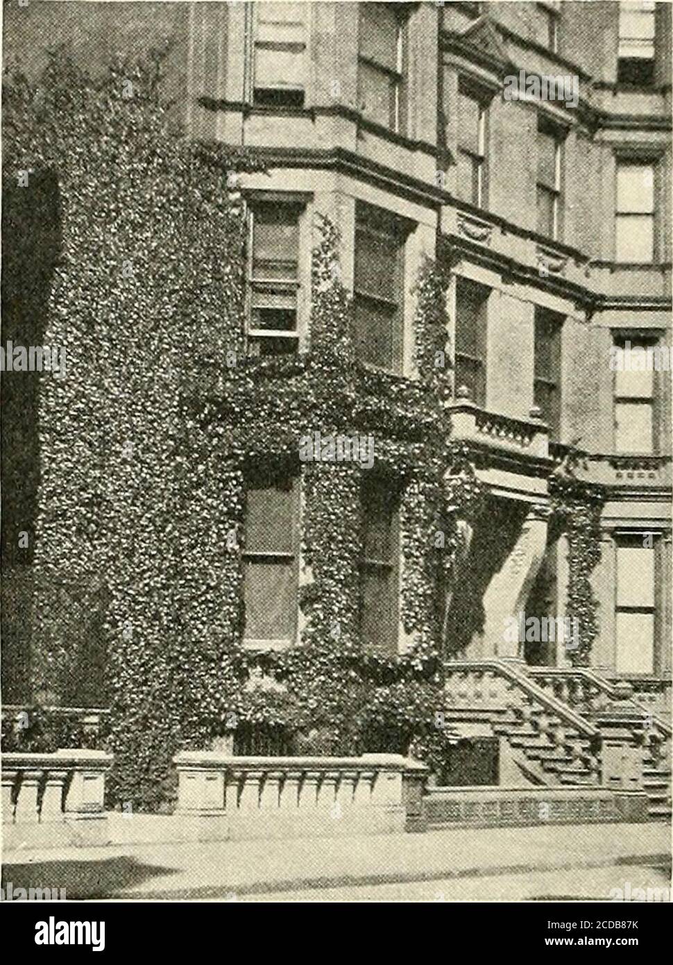 . Das Jahrhundert Buch der berühmten Amerikaner: Die Geschichte von einer jungen Menschen Wallfahrt zu historischen Häusern. G ihr historisches Wissen, um einen solchen berühmten Kampf zu lokalisieren. In diesem schlichten, mit Weinreben bedeckten, braunen Steinhaus, das ich Ihnen in der Nummer 3 der sechzig-sechsten Oststraße zeigte, kehrte ihr Onkel zurück. Dort kämpfte Ulysses S. Grant gegen Disaster, Schande und Tod – und Wonit. In der ganzen Geschichte, fügte Onkel Tom hinzu, gab es keinmal kein morepathisches, kein dramatisches, kein heroisches Spektakel. Erzählt uns davon, Onkel Tom, sagte Christine. Er hatte den Höhepunkt Offame in seinem Heimatland erreicht, Onkel Tomde Stockfoto