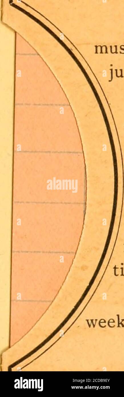 . ANTIQUARIAN Papiere . ,X-. Verluste oder Verletzungen müssen unverzüglich ad-justed werden. Keine Bücher, die im Monat August herausgegeben wurden. Zeitlimits:Alte Bücher, twoweeks Thema torenewal bei der op-tion des Bibliothekars.Neue Bücher, oneweek nur. ACME BIBLIOTHEKSAUSWEIS POCKETMADE BY LIBRARY BUREAU, BOSTON HALTEN SIE IHRE KARTE IN DIESER TASCHE 7/^.2  I BIBLIOTHEK DES KONGRESSES I I I LULL III II 0 014 068 853 8 Stockfoto