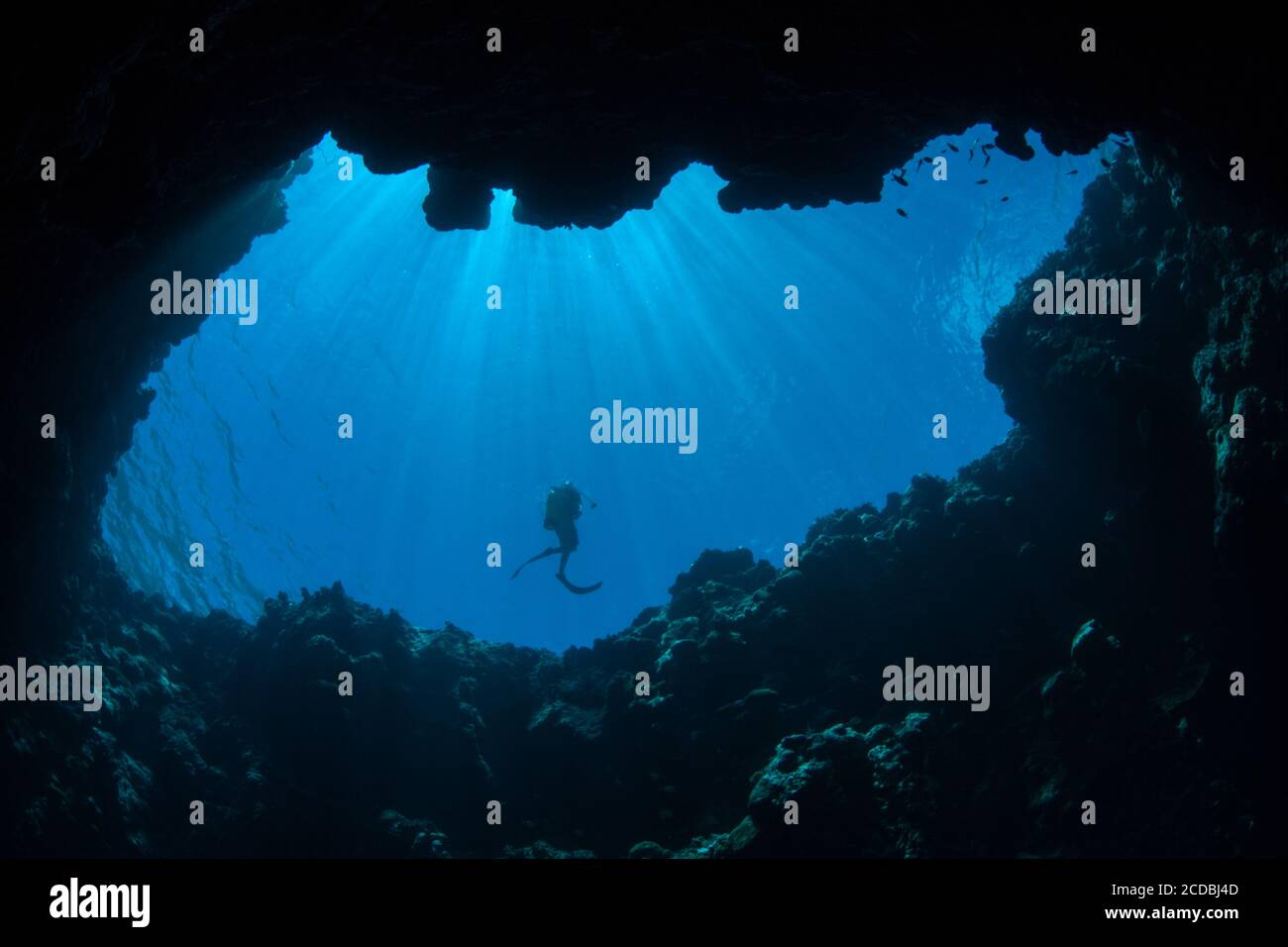 Sonnenlicht dringt in eine dunkle Unterwasserhöhle in der Republik Palau ein. Palau's spektakuläre und vielfältige Korallenriffe sind durchsetzt von Höhlen und Höhlen. Stockfoto