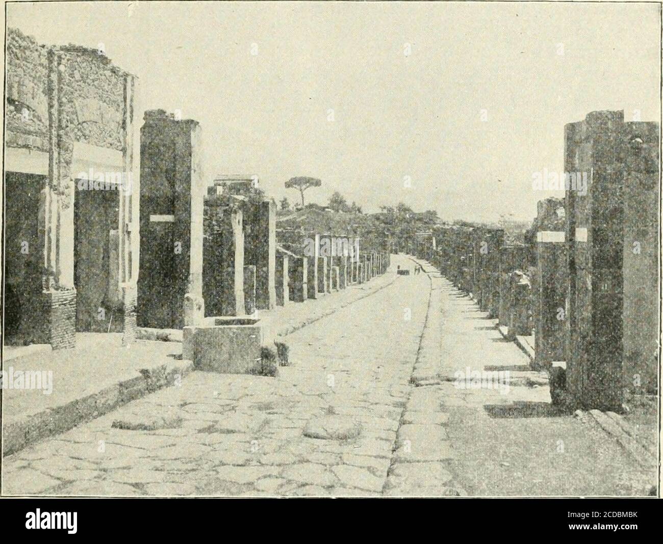 . Pompeji : sein Leben und seine Kunst . Ordnungender Ergebnisse der Kämpfe sind in der Regel fehlt. Begriffe ofearment werden auf zwei, Celadus, Threx und Cres-cens, net Fighter verschwendet; Celadus ist suspirium puellarum, maidenssigh, und puellarum decus, Ruhm der Mädchen; während Crescens ispuparum dominus, lord o lassies, und pupa rum medicus, thedarlings Arzt. Ein weiteres Graffito teilt uns mit, dass zu einer Zeit – vor dem Jahr63 – ein Gladiator in diesem Haus lebte: Samus I 0 i NT[urmileIo,idem eq[ues, hie 1iabJtat,--Samus, der einmal gekämpft hat, und einmal erobert (0 ist für Corona, Krone), Myrmillo, und das gleiche Stockfoto