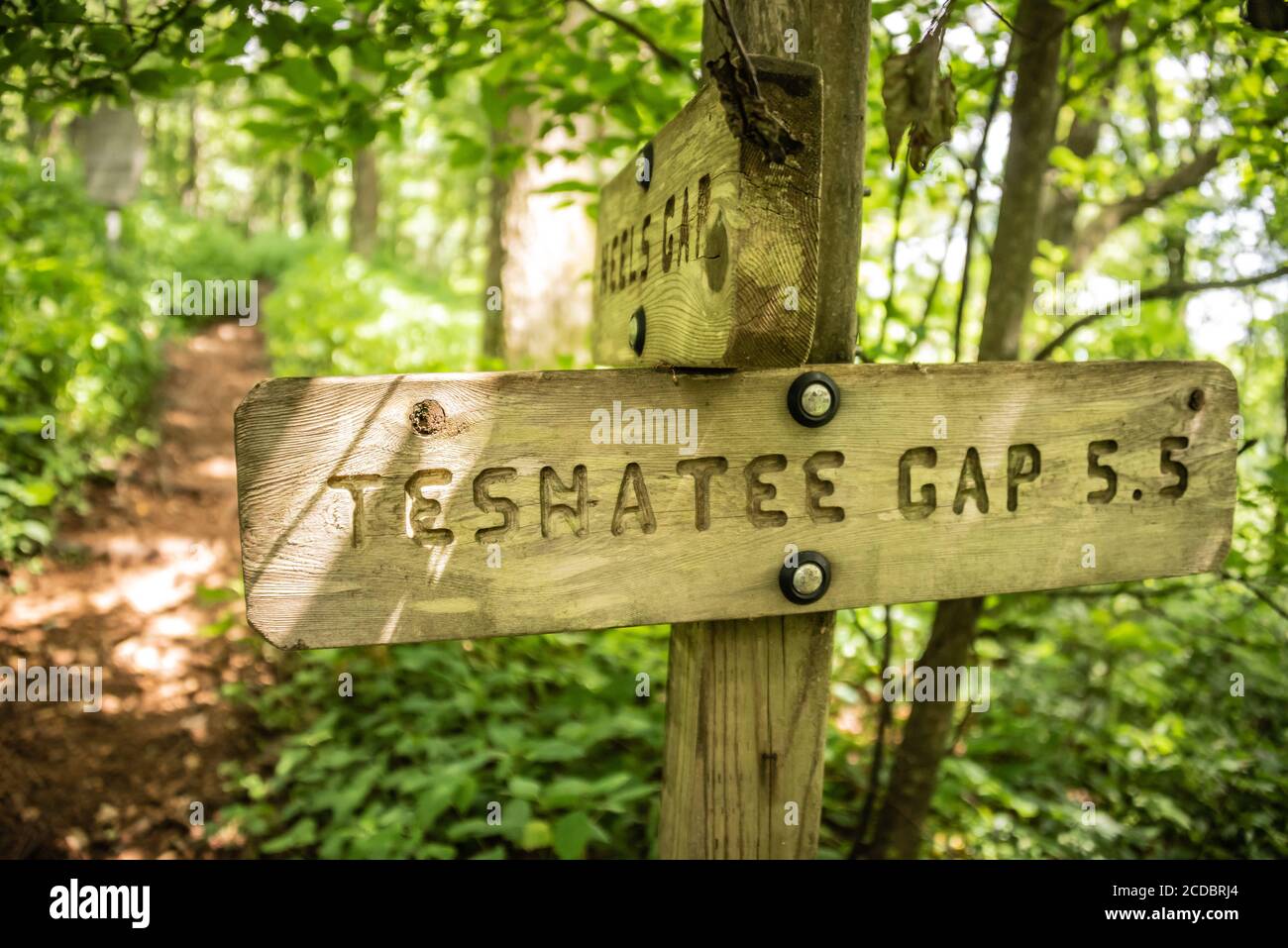 Hölzerne Trail Marker auf dem Appalachian Trail am Neels Gap in Blairsville, Georgia, USA. Stockfoto