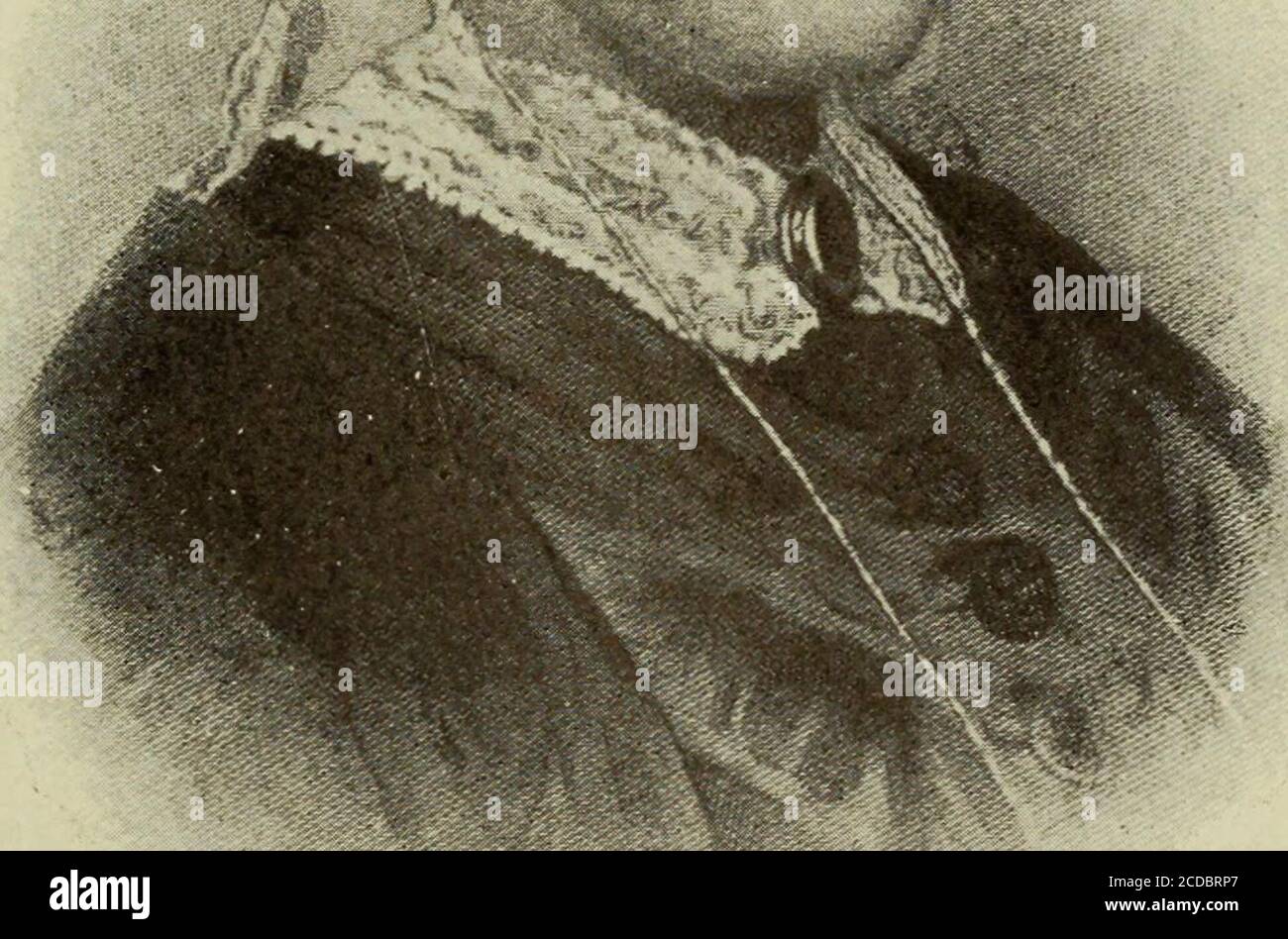 . Eine Zusammenstellung der Botschaften und Papiere der Präsidenten, 1789-1897. . ELIZA McCardle JOHNSON Eliza McCardle, aus Tennessee, heiratete 1826 Andrew Johnson, ein Schneider, achtzehn Jahre verkauft, deren frühe Ausbildung sie leitete beharrlich, bis sein Lernen übertraf ihre eigene.Ihr Charakter war einfach, wahr und unkosten-tatious, die Pflichten von Frau und Mutter beigallzeit gewissenhaft erfüllt. Ihre Gesundheit beinguntergraben durch Leiden während der Rebellion, shewas eine bestätigte ungültig, wenn in das Whitehouse gerufen, daher Frau Patterson, ihre eldestDaughter, wurde Gastgeberin. Sie präsidierte mitsim Stockfoto