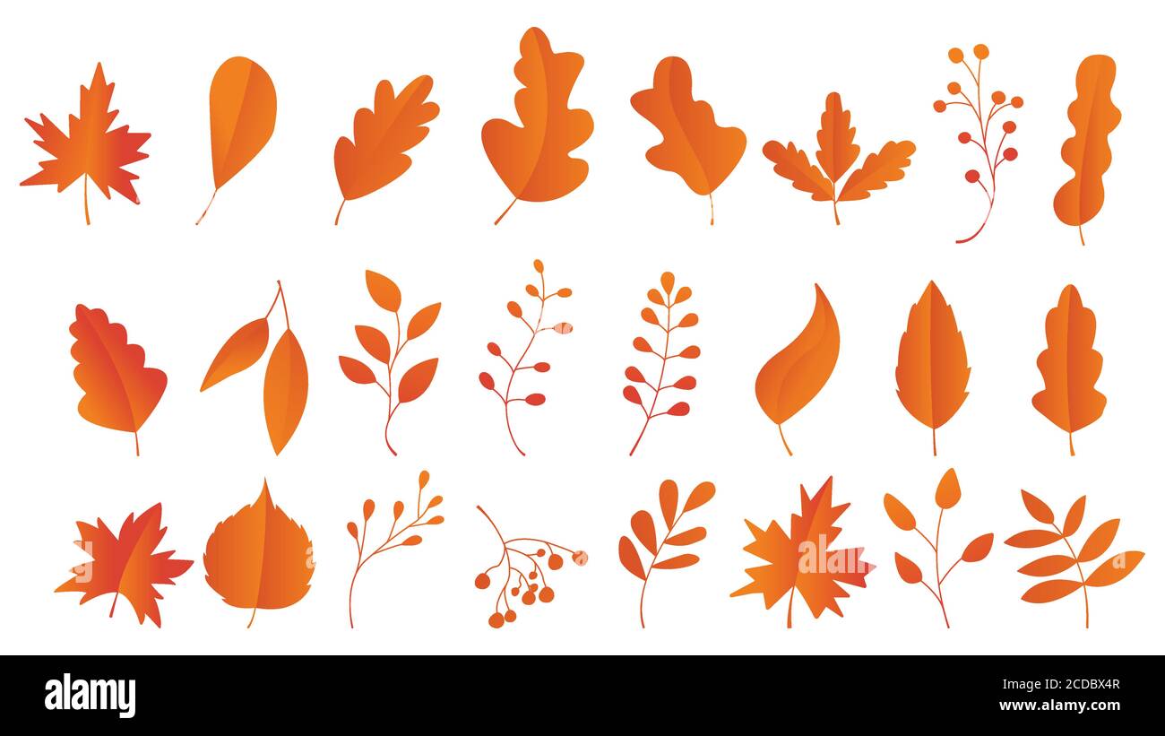 Herbstblätter Set, Vektor-Illustration, Herbstblätter oder Herbstlaub Symbole, fallende Pappel, Herbstblätter für saisonale Urlaub Grußkarte Design Stock Vektor
