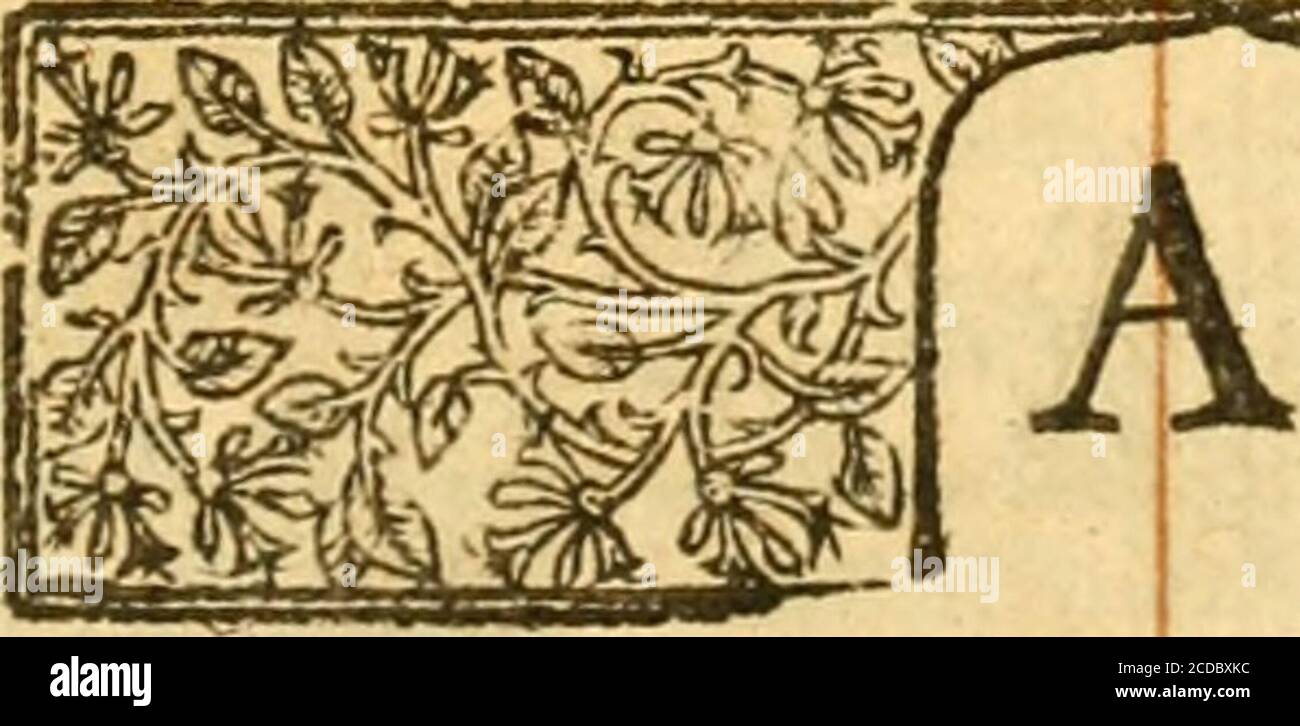 . Die Bibel: Das ist die Heilige Schrift im Alten und Neuen Testament conteined; übersetzt nach dem Ebrew und Greeke, und mit den besten Übersetzungen in verschiedenen Sprachen .. . -&lt;p Ifii.i 2.ftEie.479t Mat.10. a.Kin.4.j « s.Kin.TS.:.K n. 19.z.CH.33.ii :i.CH.L.3.3. I.Kia»4. L. jtim £jf re rfnn fyr£ ^ -. Nsiiii mfsat Stockfoto