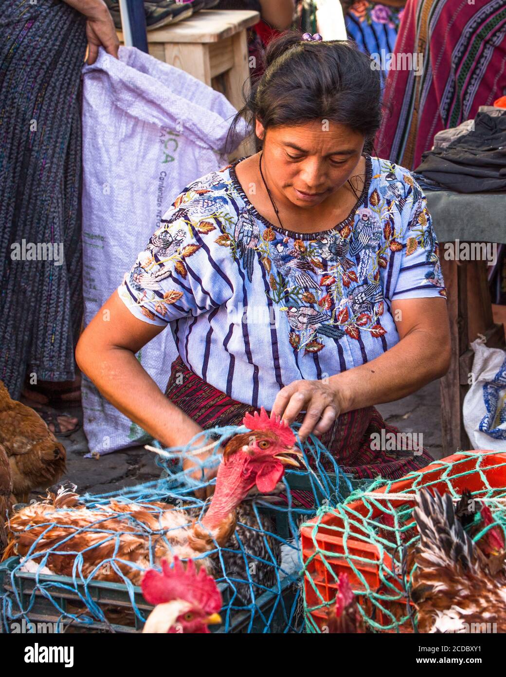 Eine Tzutujil Maya Frau in traditioneller Kleidung verkauft lebendes Geflügel auf dem wöchentlichen offenen Markt in Santiago Atitlan, Guatemala. Stockfoto