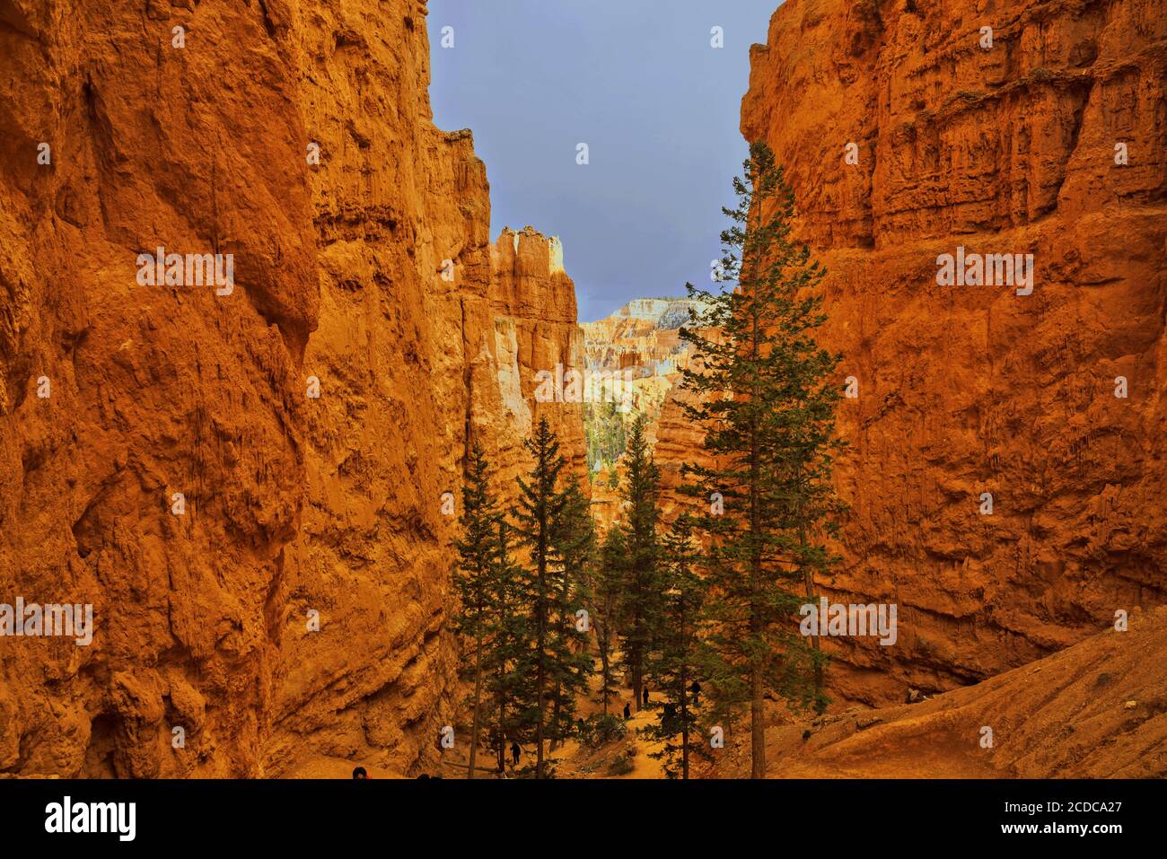 Bryce-Canyon-Nationalpark, Utah, USA Stockfoto