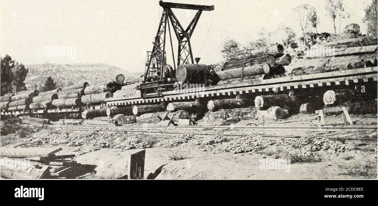 . Holzfäller in der Zucker-und Gelbkiefer-Region von Kalifornien. F-I5857-A ABB. 2. - Rahmen-Trestle auf Holzfällerbahn in der Sugar Pine Region. Bui. 440, U. S. Department of Agriculture. Platte XI. #* &lt;*£ -*: . 1 w&KI ?V -^m&  ^«k:-^ *U* .;--^ ^ F-30927 Abb. 1. - beladene Logging Autos bereit für den Transport zum Mühlenteich.. F-I5J52-A ABB. 2. - Spezielle Entladestation Rig am Mühlenteich.Zug der beladenen flachen Autos in bereit zum Entladen eingestellt. HOLZFÄLLER IN DER KIEFERNREGION VON KALIFORNIEN.Tabelle 7. - Kosten für Standard-Gauge Rahmen Böcke. 53 Länge. Maximale Höhe. Füße, Plattenmaß. Gesamtkosten. Preis 1,000. Kosten Stockfoto