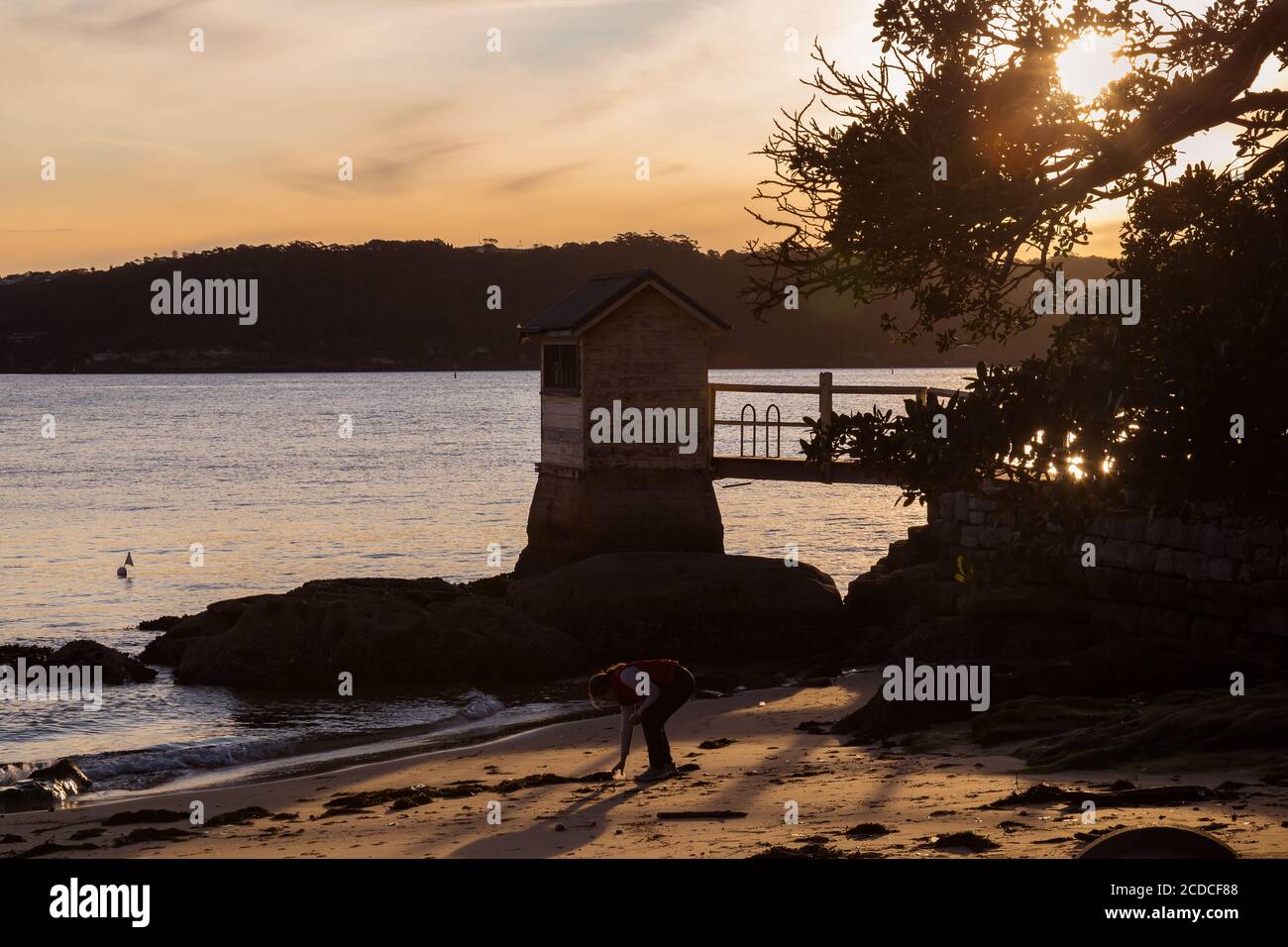 Sydney, Australien. Donnerstag, 6. August 2020. Eine Frau gibt ihre Zeit auf, um Plastikmüll während der goldenen Stunde am Camp Cove Strand abzuholen. Stockfoto