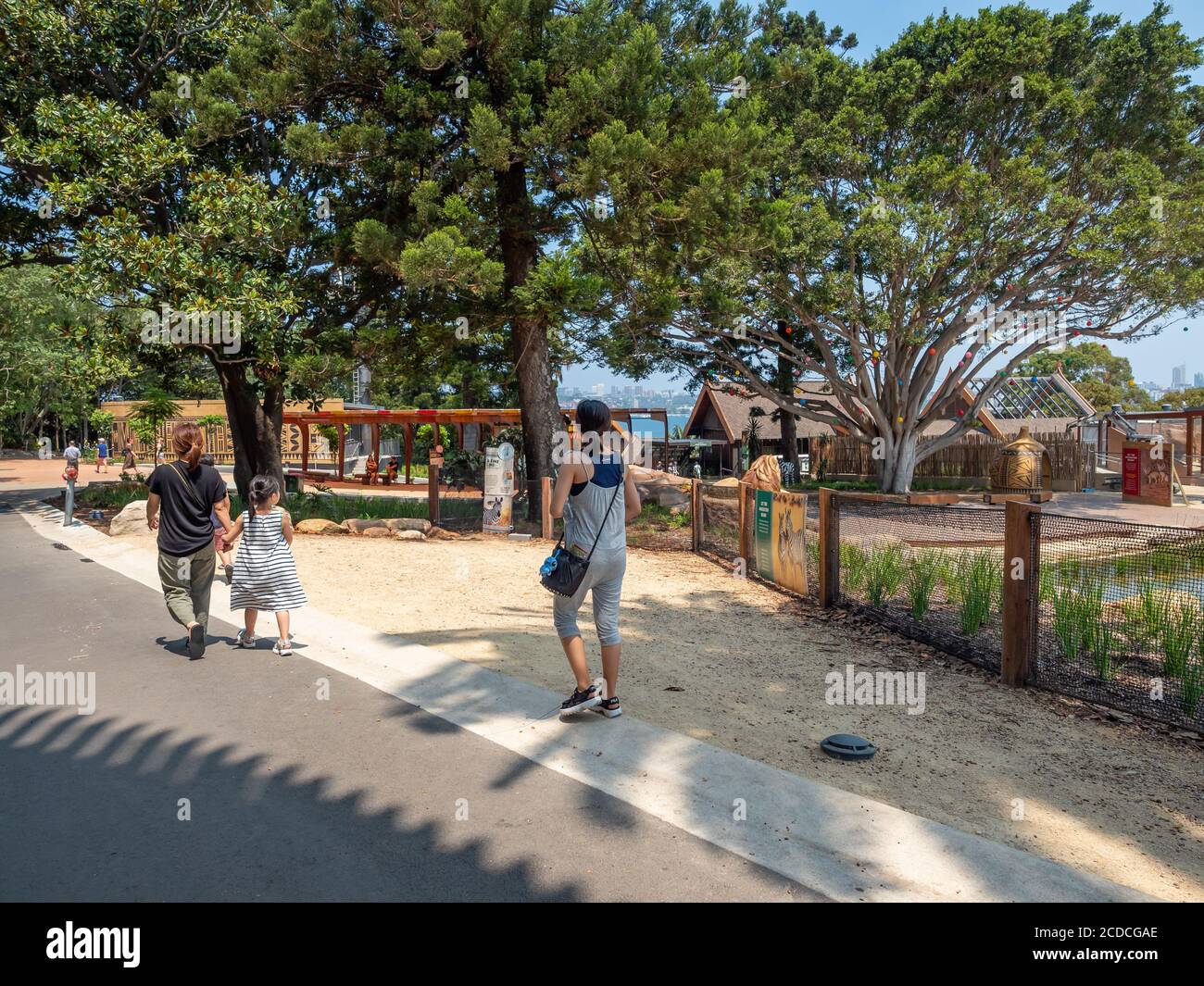 Besucher zu Fuß im Taronga Zoo an einem sonnigen Sommernachmittag Stockfoto