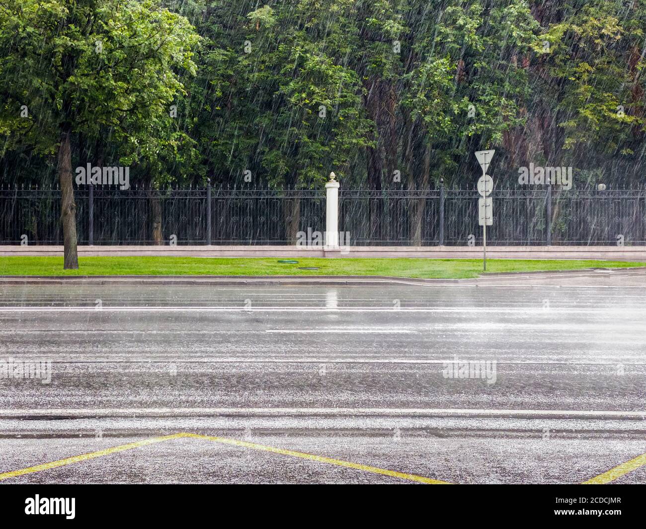 City Street in Starkregen. Sintflutartige Sommerregen auf grünen Park Bäume Hintergrund Stockfoto