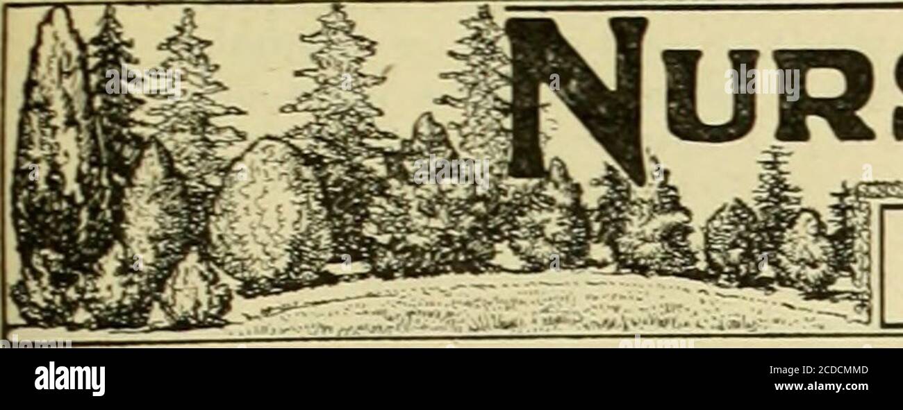 . Der Floristentausch : ein wöchentliches Austauschmedium für Floristen, Baumschulen, Sämlinge und den Handel im Allgemeinen. Glisch ausgebildete Obstbäume von f niit- beanng Größe und der besten Sorten; Ausgebildet in allen Stilen und Formen J. H. TROY New Rochelle, N. Y. P. Ouwerkerk 216 Jane StreetWEEHAWKEN HEIGHTS, N. J. GERADE VON OURHOLL.ND BAUMSCHULEN Rhododendrons,AzaIeas,Spiraeas,Japonica, Lilium Speciosum,Pfingstrosen, blutendes Herz, Kot-Lilacs, Hydrangea iosort , Clematis, Und H. P. rosesin die besten SORTENPREISE MODERATE Standard Nursery Periodicals American nurseryman (Semi-Mo.) S1.50ay Stockfoto